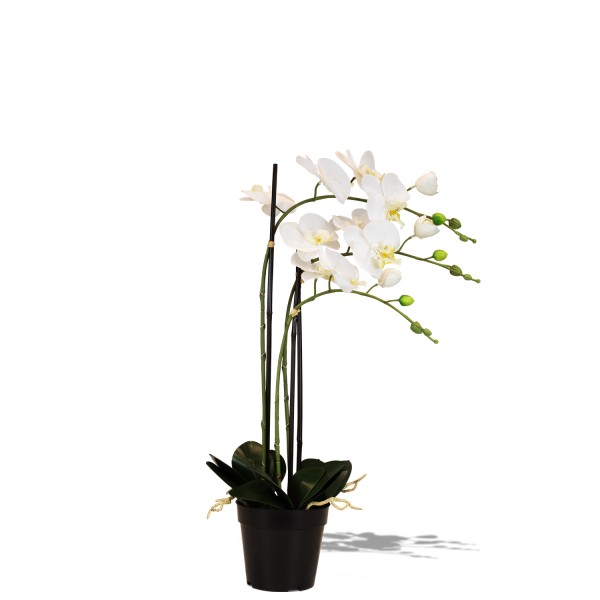 Künstliche Orchidee weiß günstig online kaufen