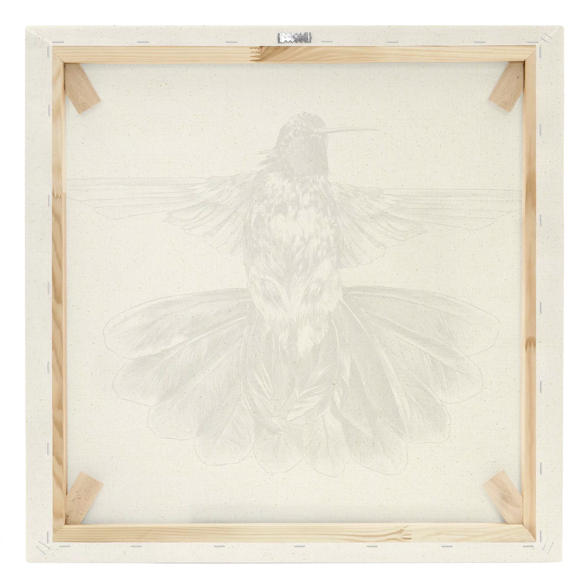 Leinwandbild auf Naturcanvas Illustration fliegender Kolibri Schwarz günstig online kaufen