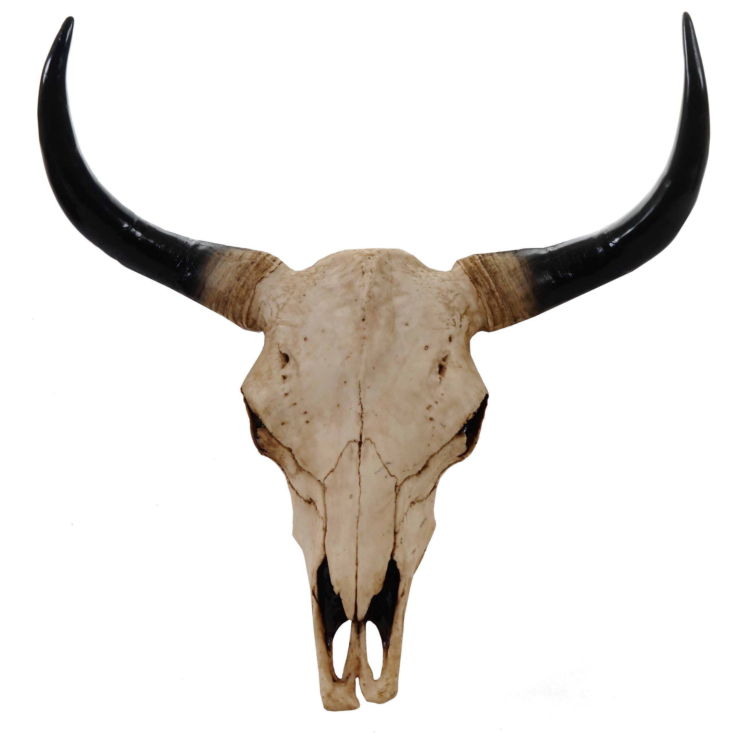 MCW Deko Schädel 45cm T454 Stier Naturfarben günstig online kaufen