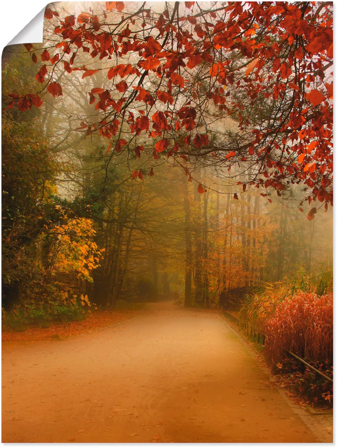 Artland Wandbild "Herbst im Park", Vier Jahreszeiten, (1 St.), als Poster i günstig online kaufen
