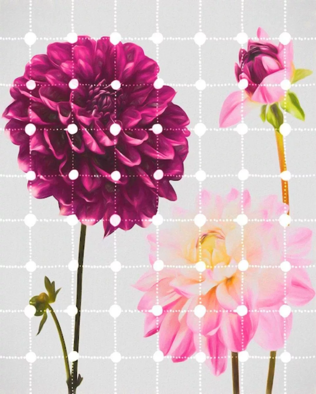 Komar Vliestapete »Flowers & Dots«, 200x250 cm (Breite x Höhe), Vliestapete günstig online kaufen