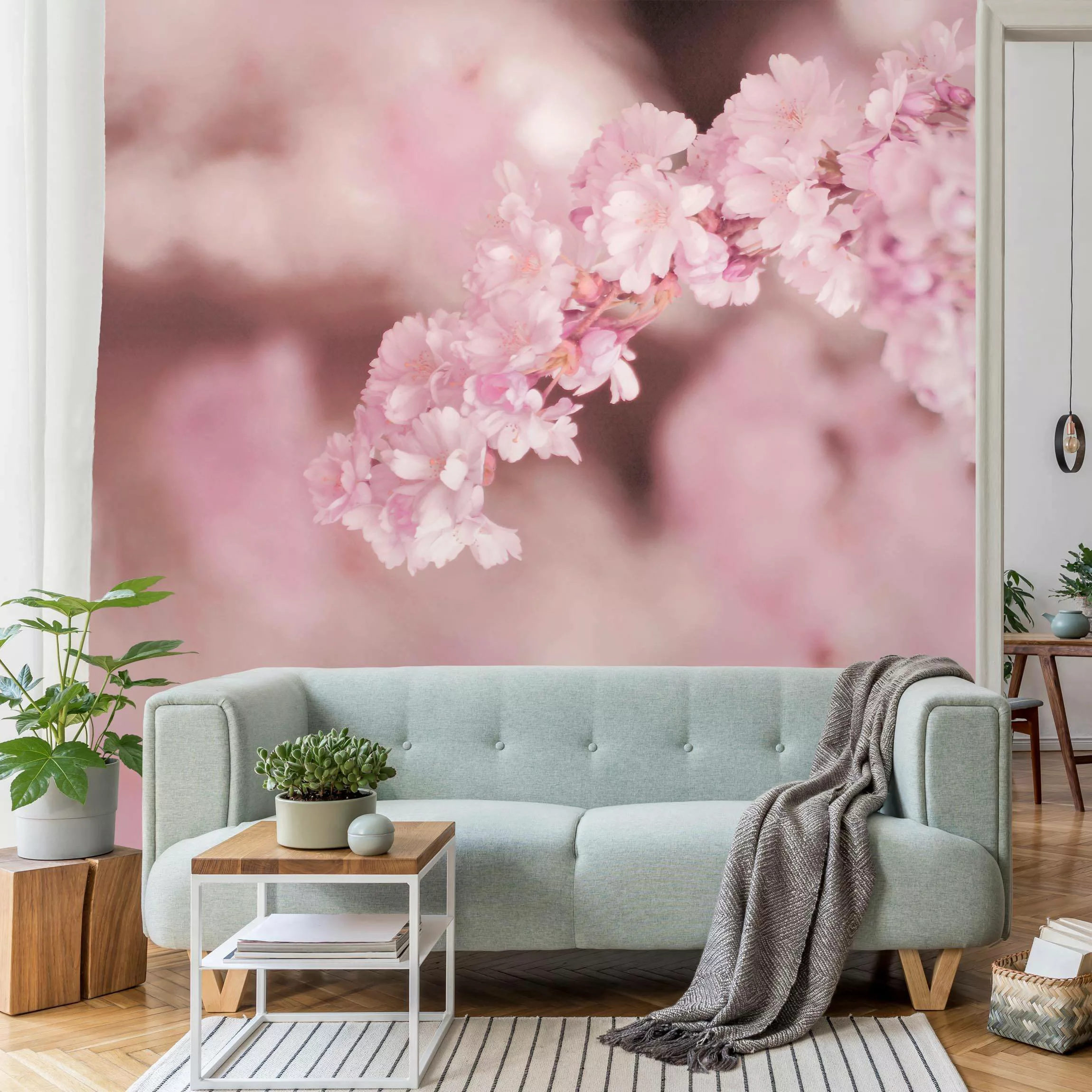 Fototapete Kirschblüte im Violetten Licht günstig online kaufen