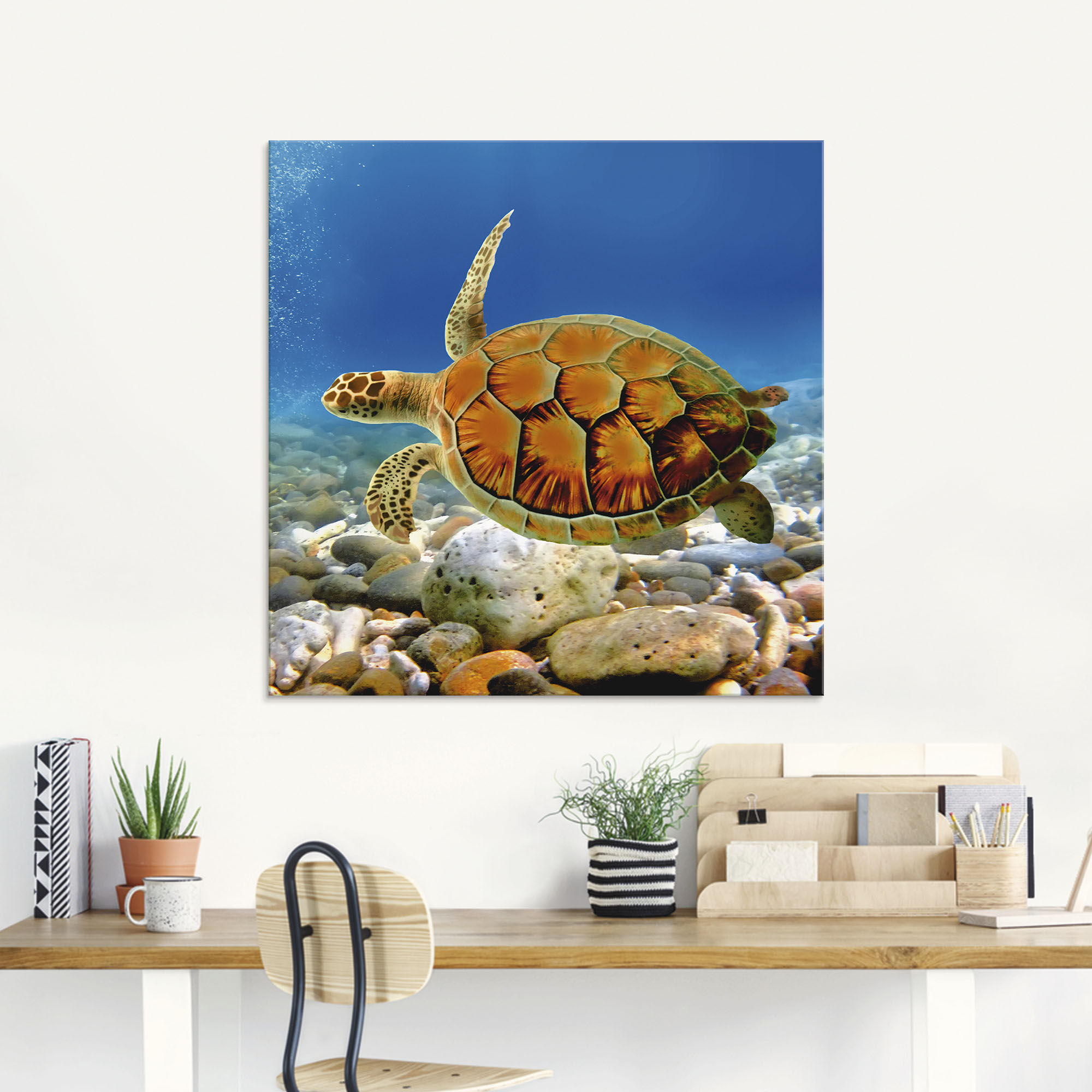 Artland Glasbild "Schildkröte", Wassertiere, (1 St.), in verschiedenen Größ günstig online kaufen