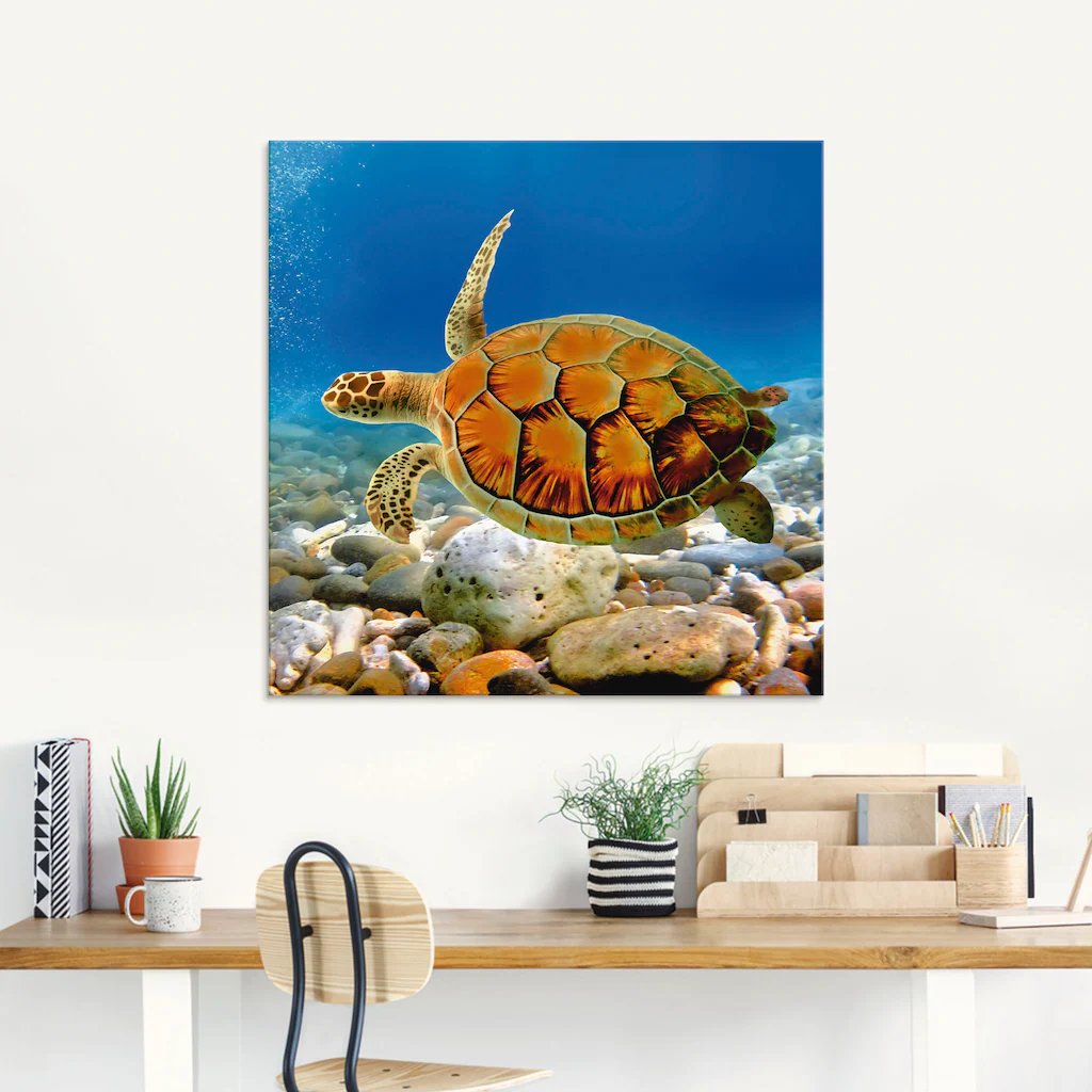 Artland Glasbild "Schildkröte", Wassertiere, (1 St.), in verschiedenen Größ günstig online kaufen