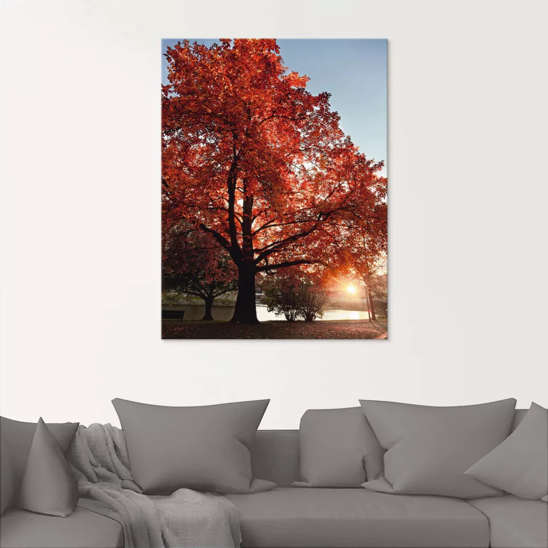 Artland Glasbild "Herbstbaum", Bäume, (1 St.), in verschiedenen Größen günstig online kaufen