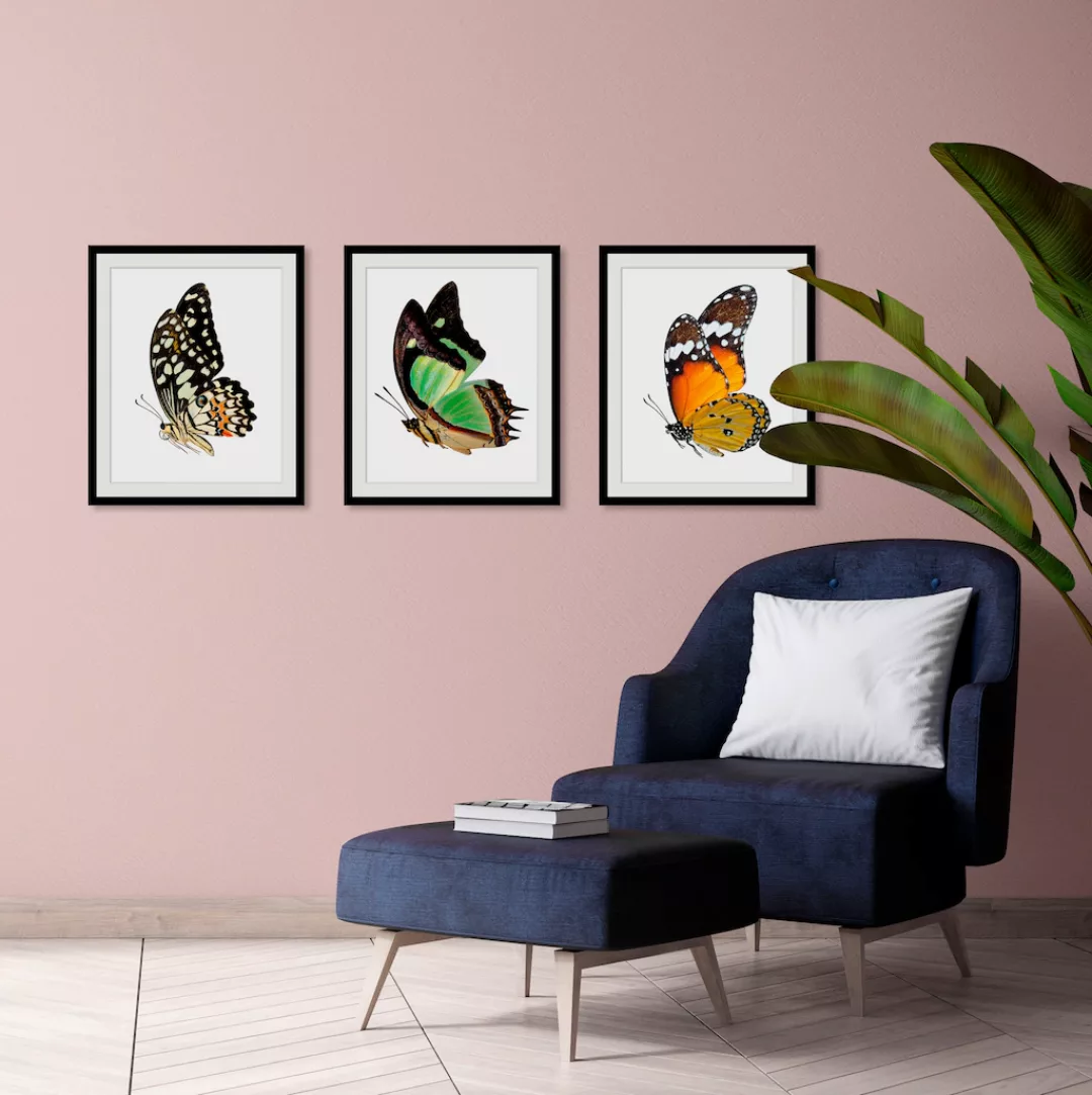 queence Bild »Charly«, Schmetterlinge, (1 St.) günstig online kaufen