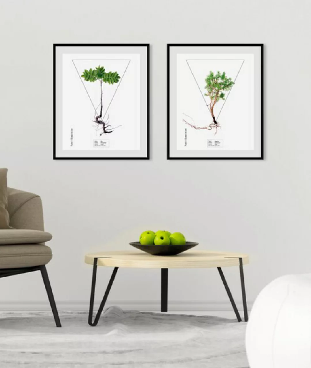 queence Bild »Juniperus«, (1 St.) günstig online kaufen