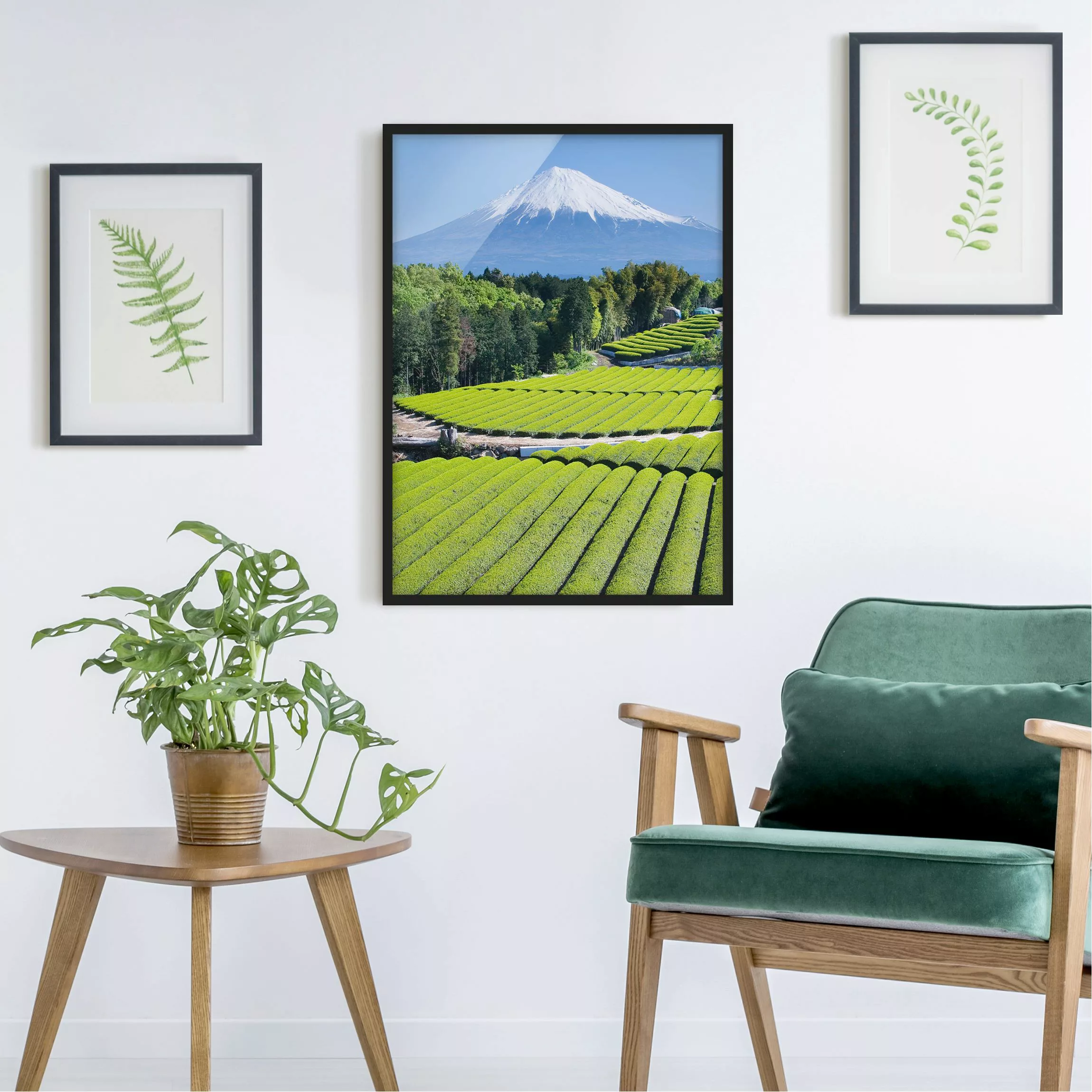 Bild mit Rahmen Natur & Landschaft - Hochformat Teefelder vor dem Fuji günstig online kaufen