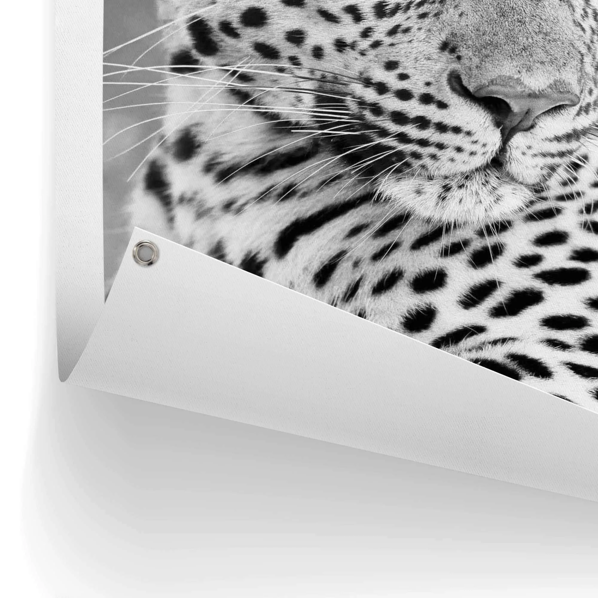 Reinders Poster "Leopard", Outdoor für Garten oder Balkon günstig online kaufen