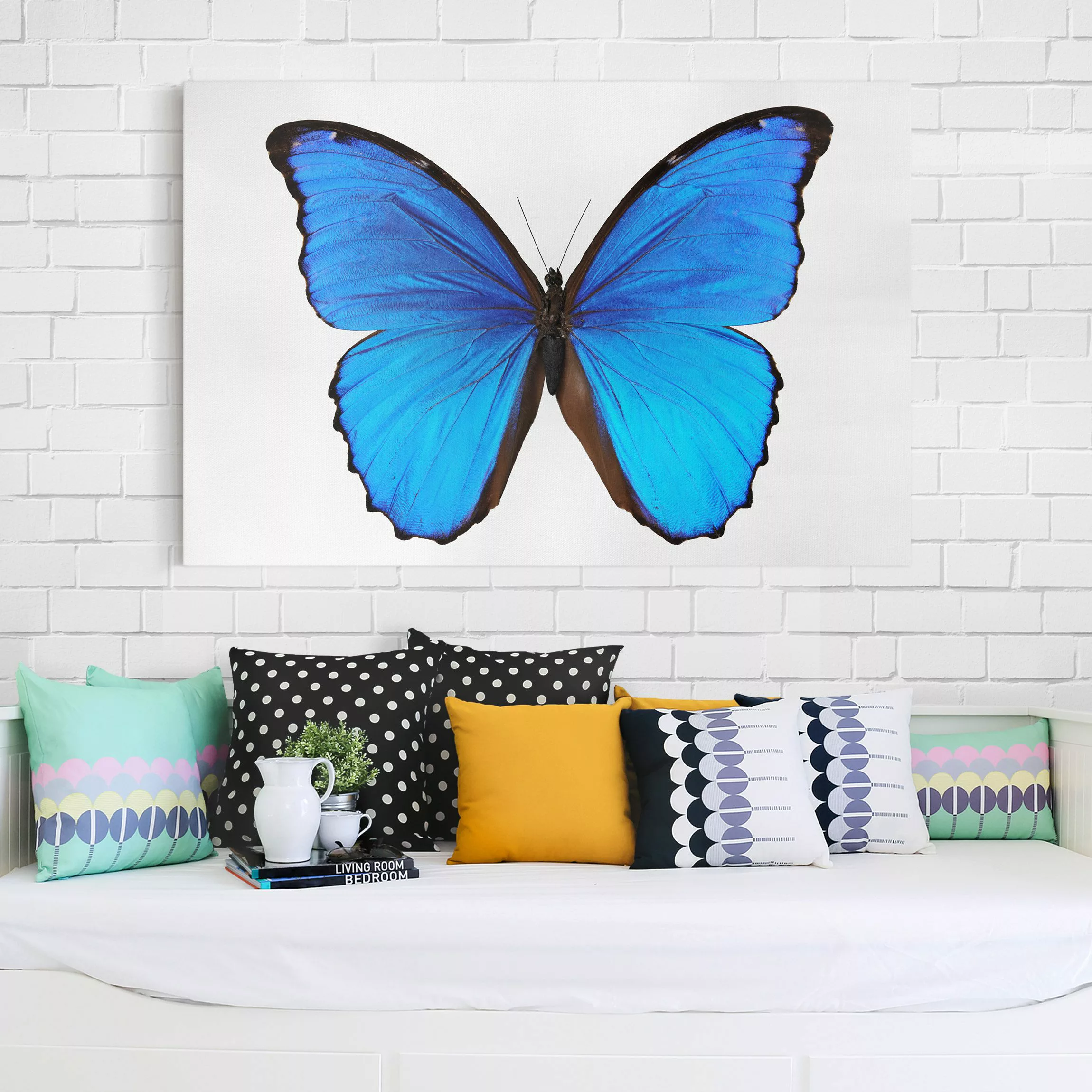 Leinwandbild Schmetterling - Querformat Blauer Morphofalter günstig online kaufen