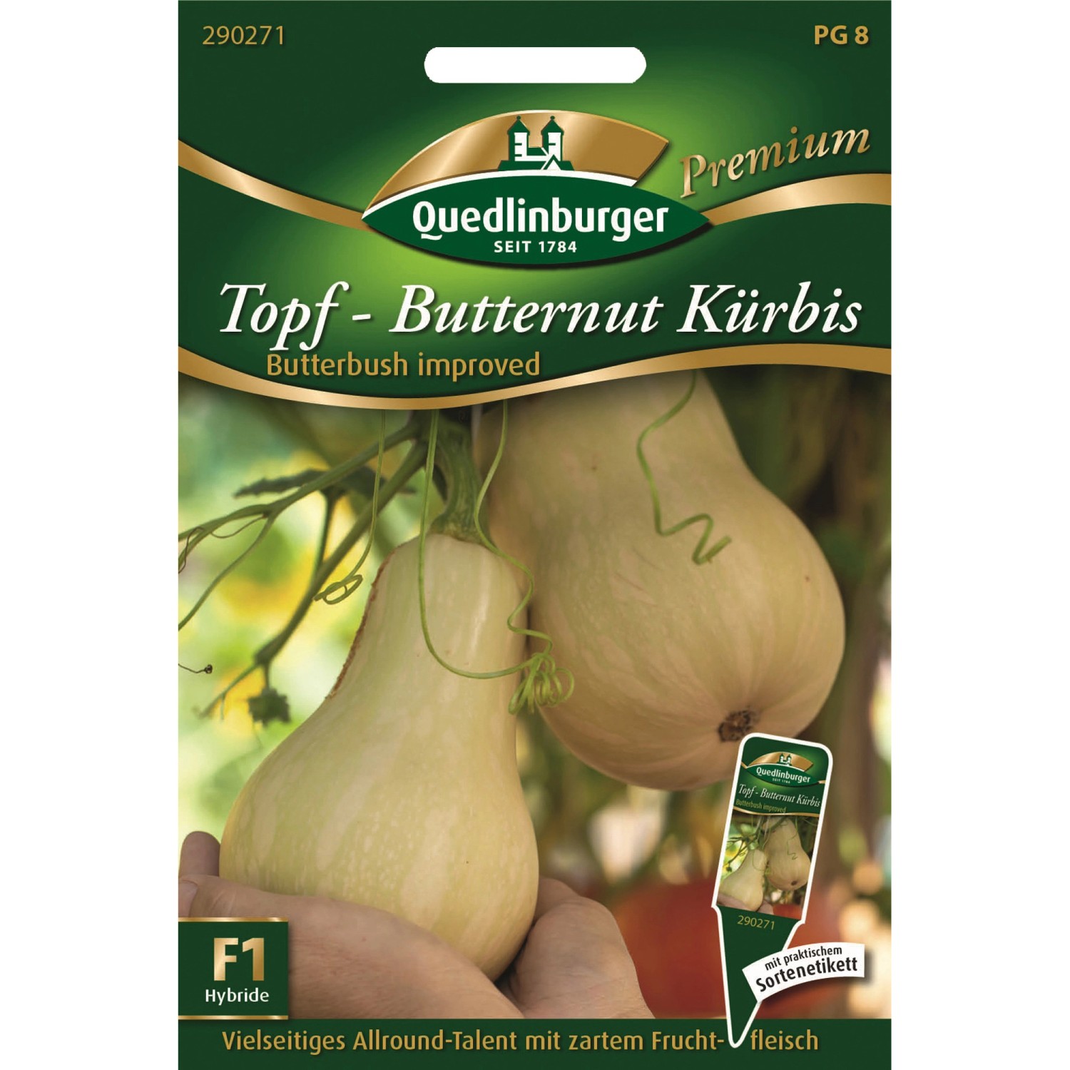 Quedlinburger Topf-Kürbis Butterbush Improved Loses Saatgut günstig online kaufen