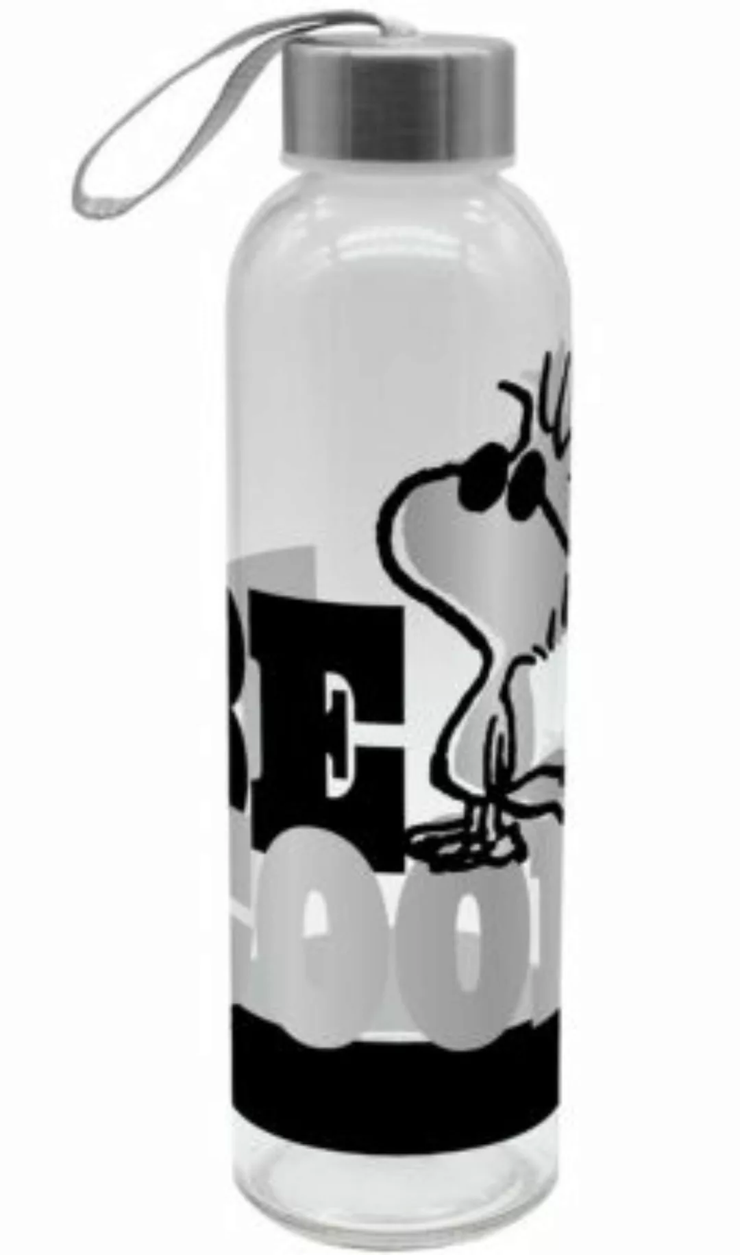Geda Labels Trinkflasche Peanuts Be Cool 500ml Glas Trinkflaschen bunt günstig online kaufen