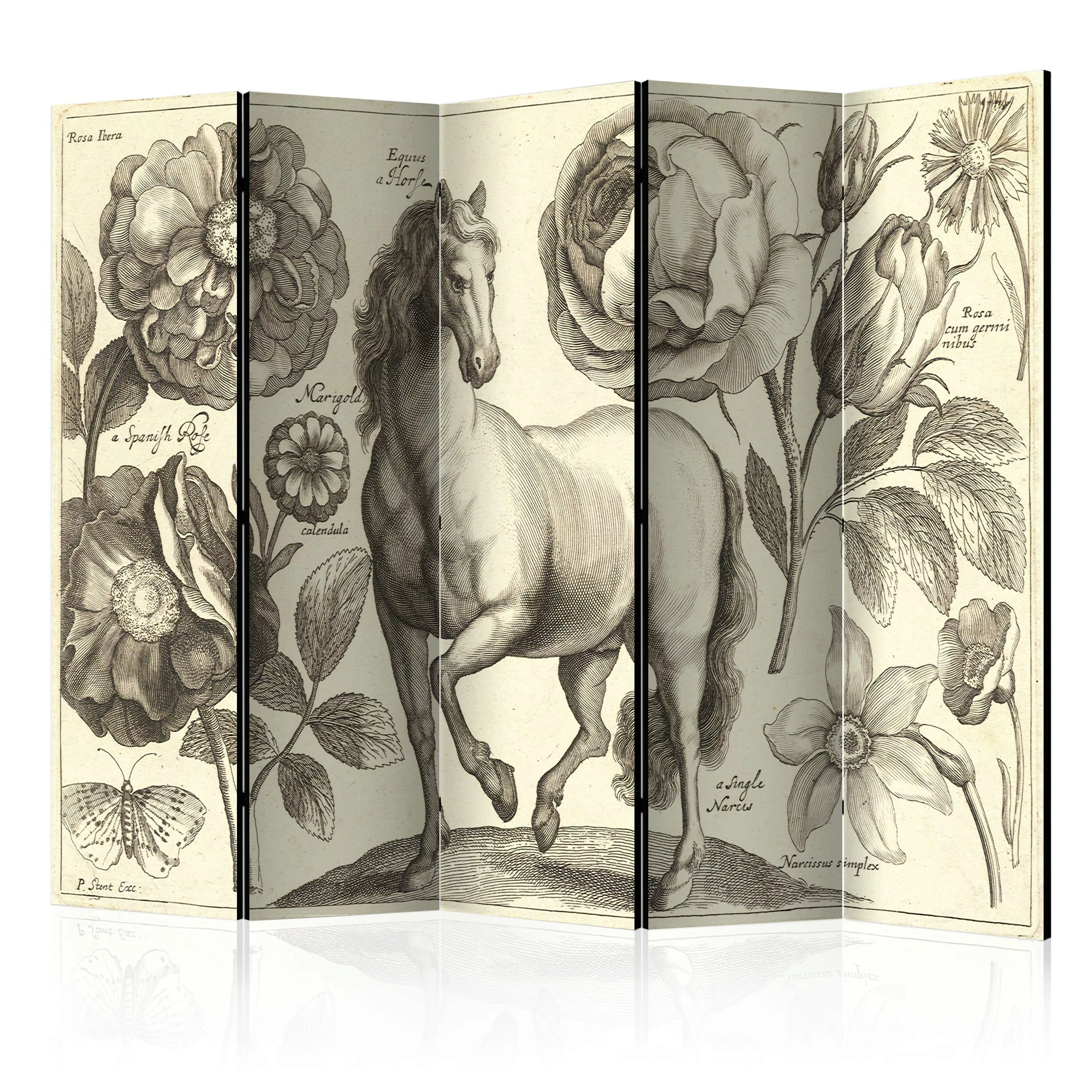 5-teiliges Paravent - Horse Ii [room Dividers] günstig online kaufen