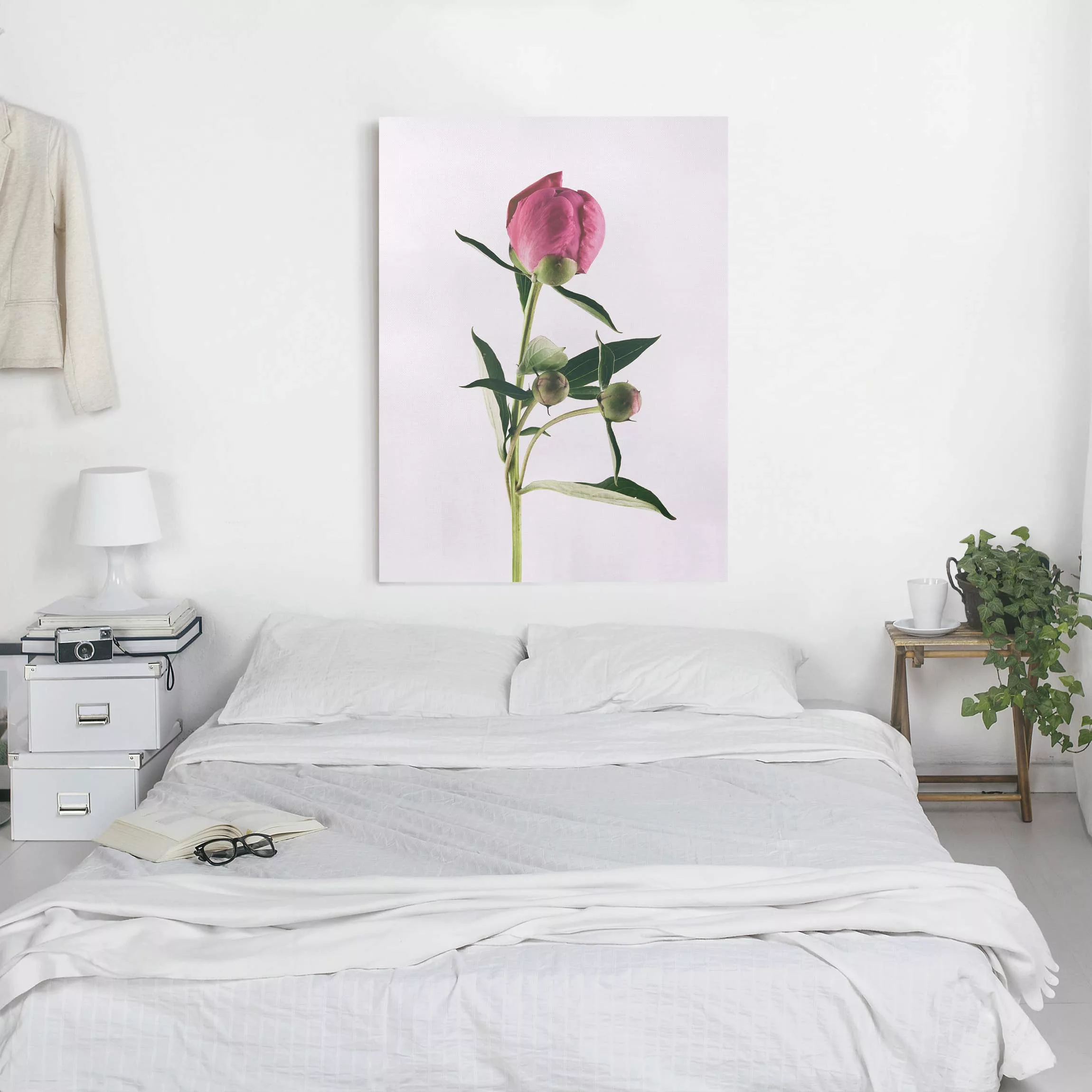 Leinwandbild Blumen - Hochformat Pfingstrose Pink auf Weiß günstig online kaufen