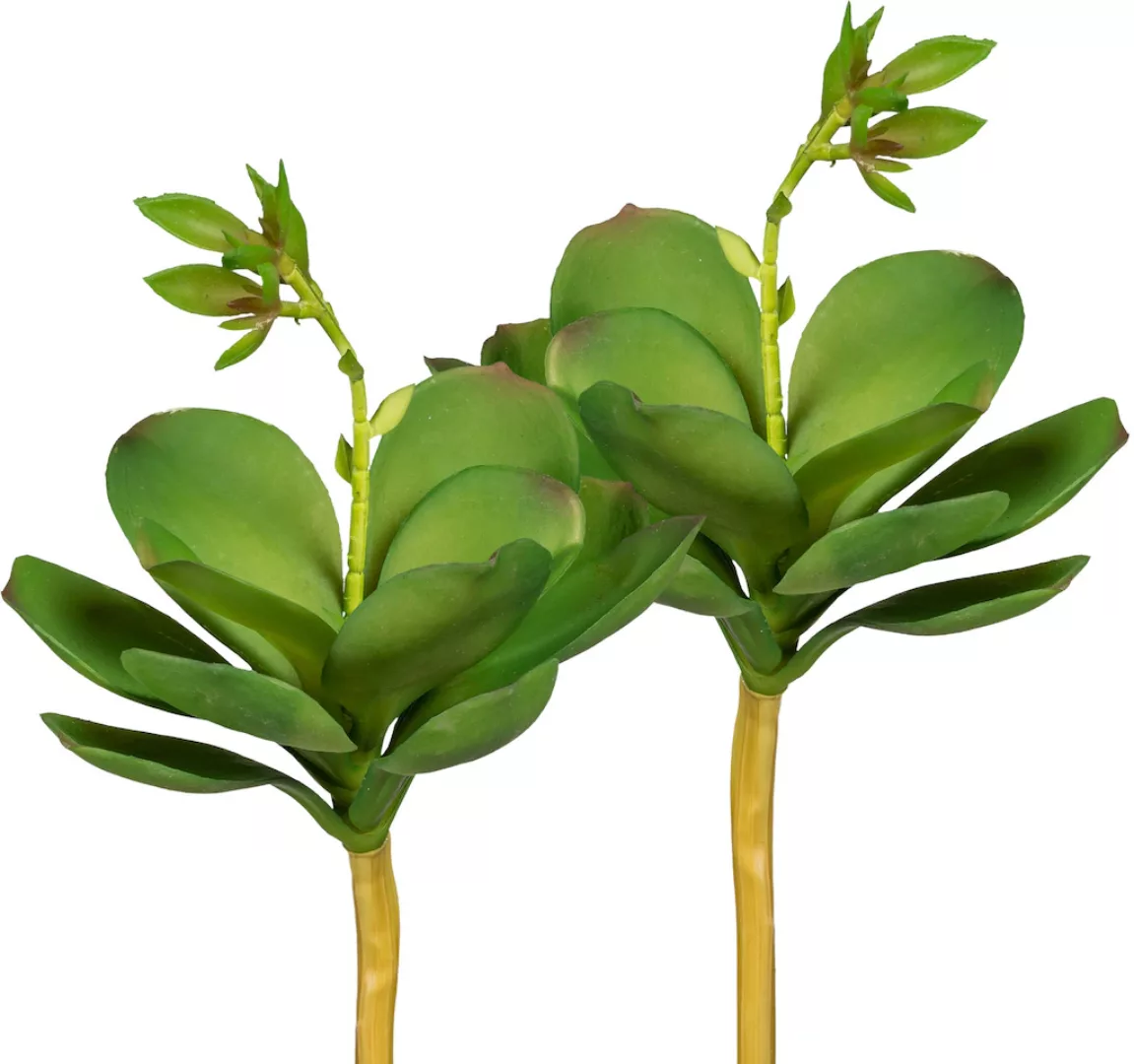 Creativ green Kunstpflanze "Echeveria mit Blüte" günstig online kaufen