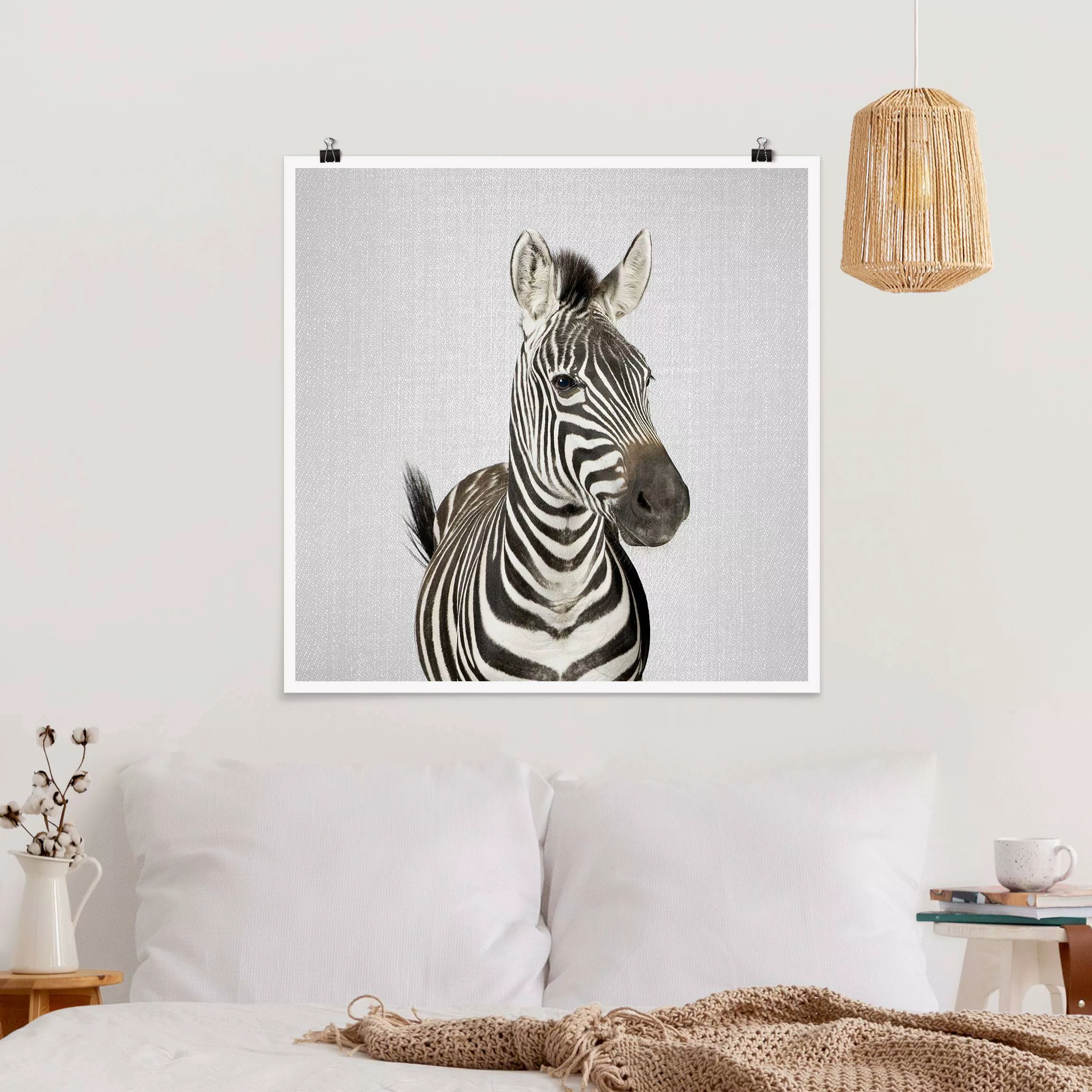 Poster Zebra Zilla günstig online kaufen