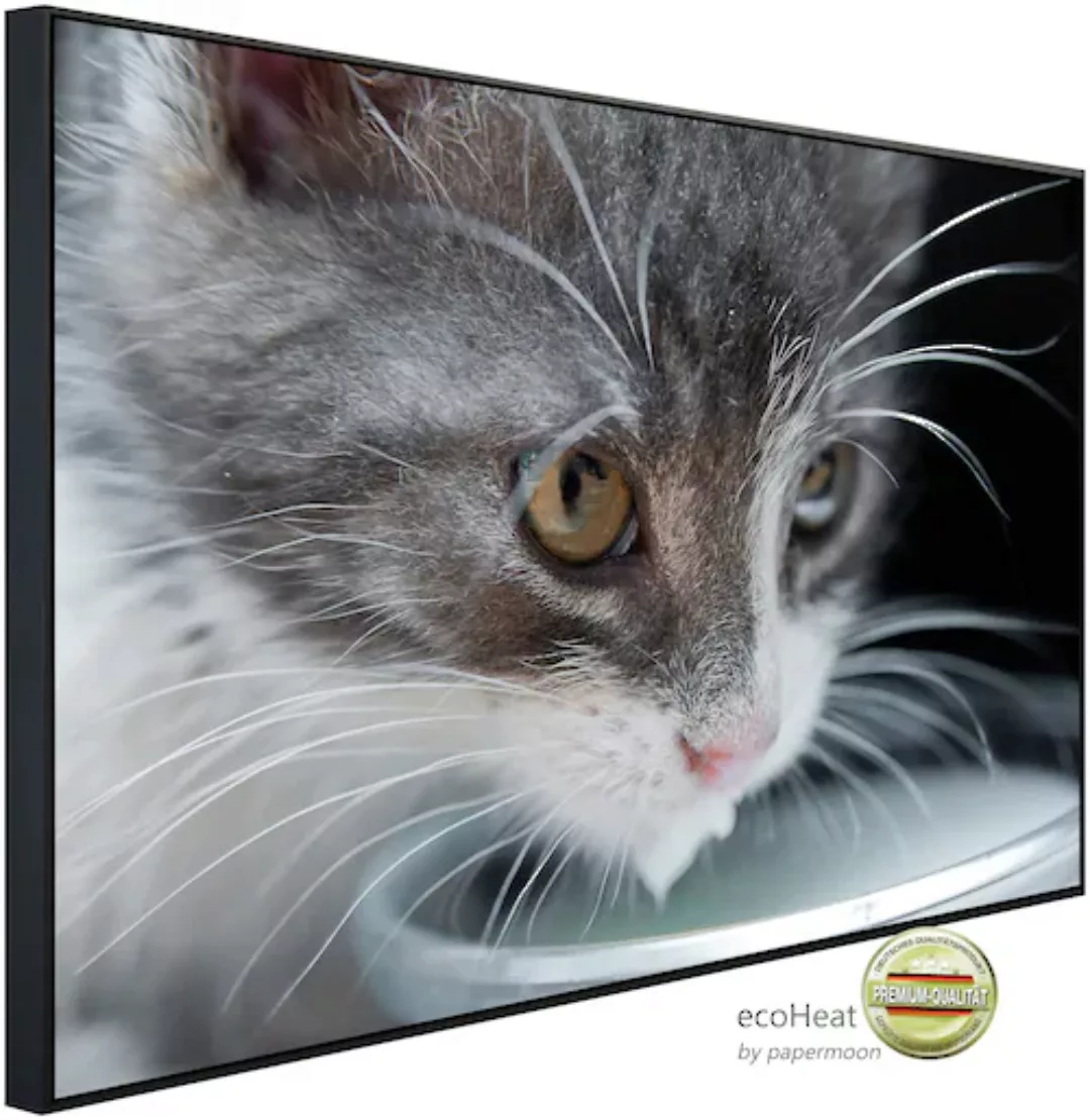 Papermoon Infrarotheizung »Katze« günstig online kaufen