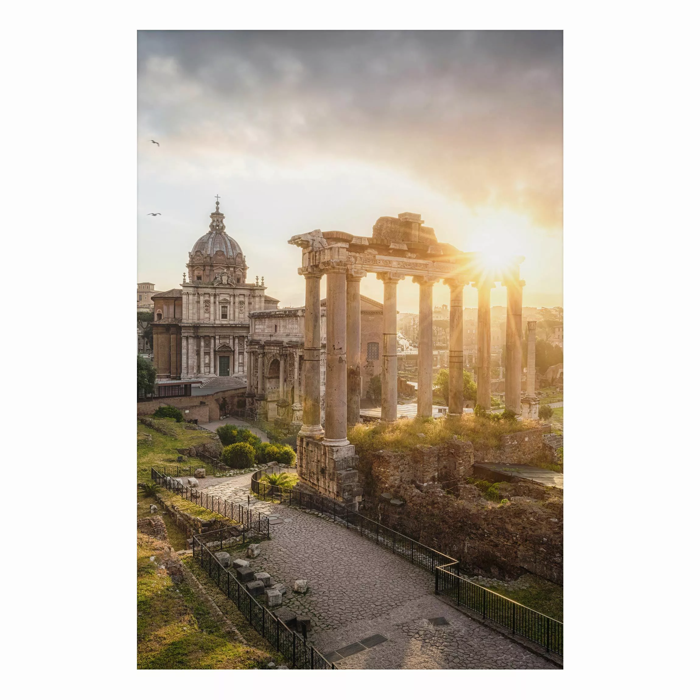 Alu-Dibond Bild Forum Romanum bei Sonnenaufgang günstig online kaufen