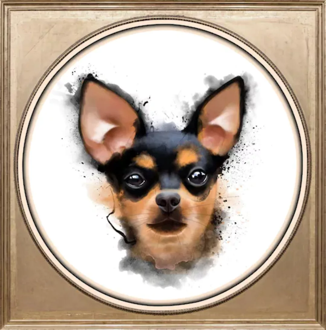 queence Acrylglasbild "Chihuahua" günstig online kaufen