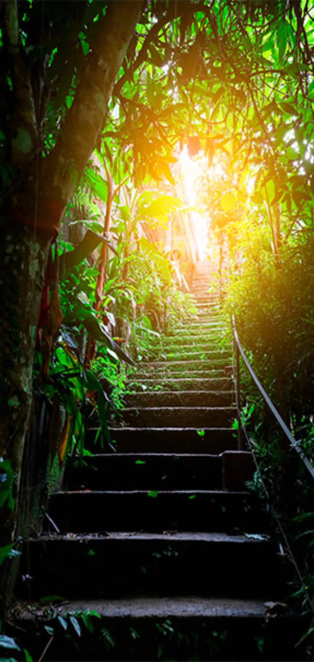 Türtapete - Photo Wallpaper - Stairs In The Urban Jungle I günstig online kaufen