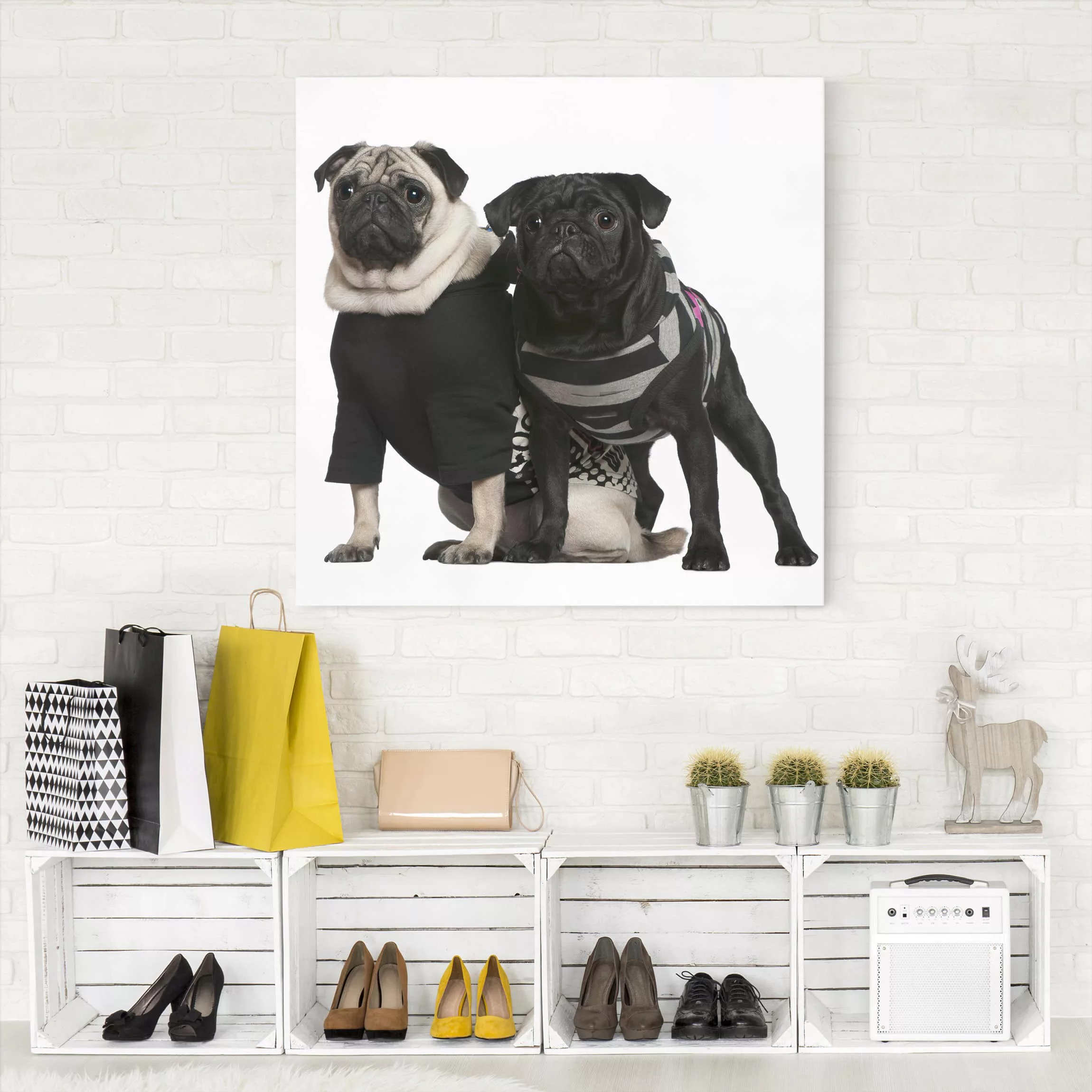 Leinwandbild - Quadrat Mops Fashion günstig online kaufen