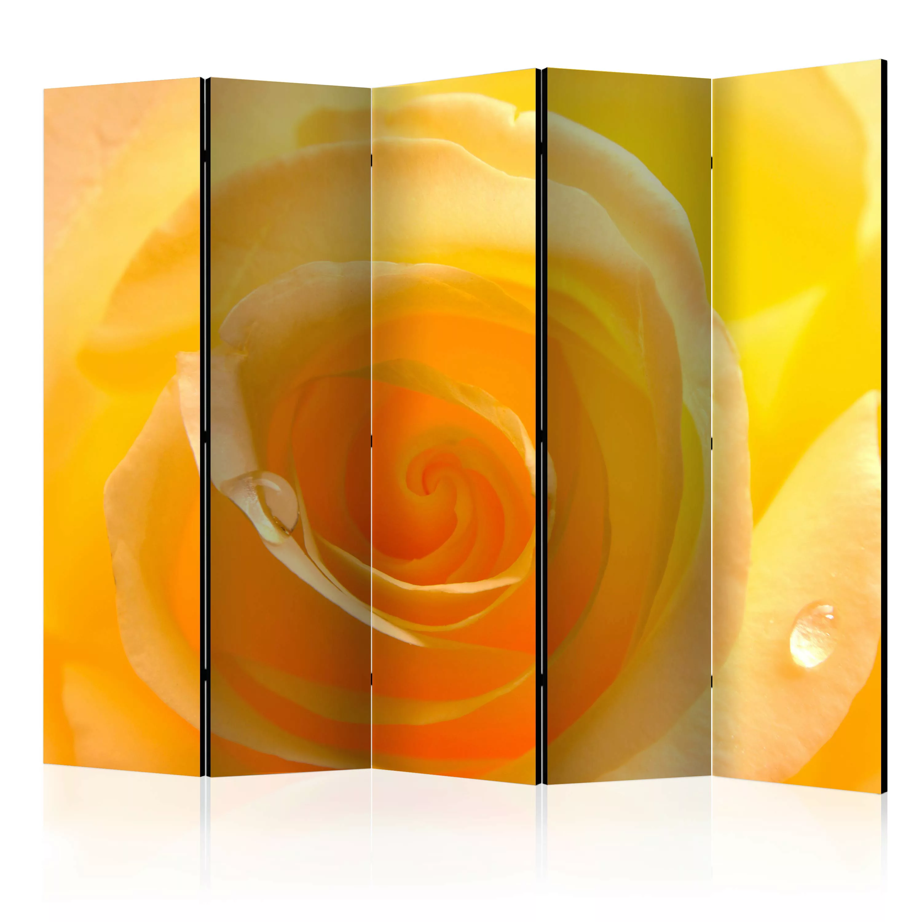 5-teiliges Paravent - Yellow Rose Ii [room Dividers] günstig online kaufen