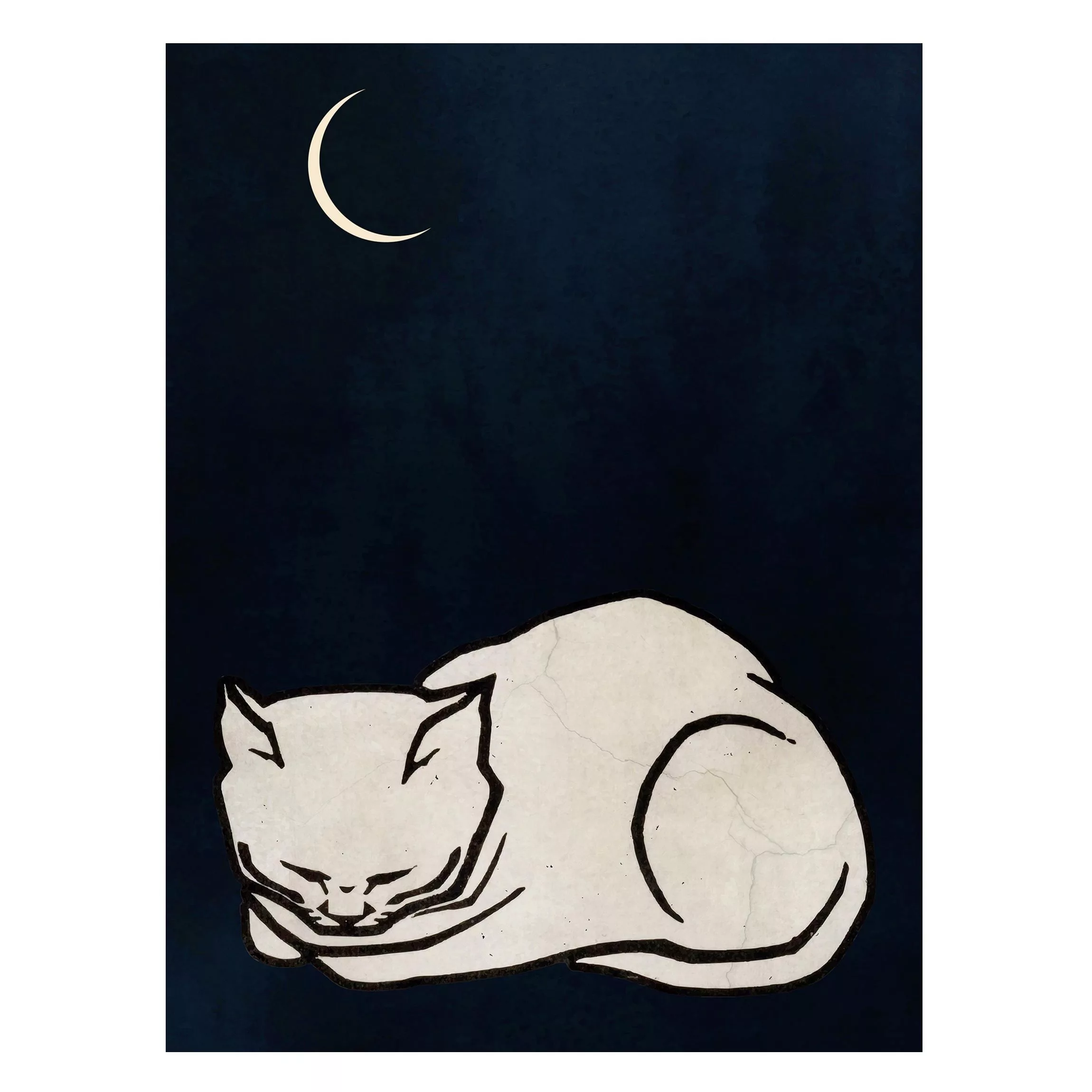 Magnettafel Schlafende Katze Illustration günstig online kaufen