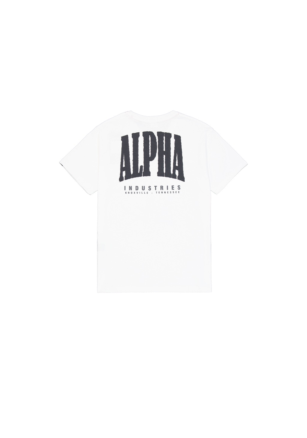 Alpha Industries T-Shirt "Coach T-Shirt Back Embroidery T-Shirt" günstig online kaufen
