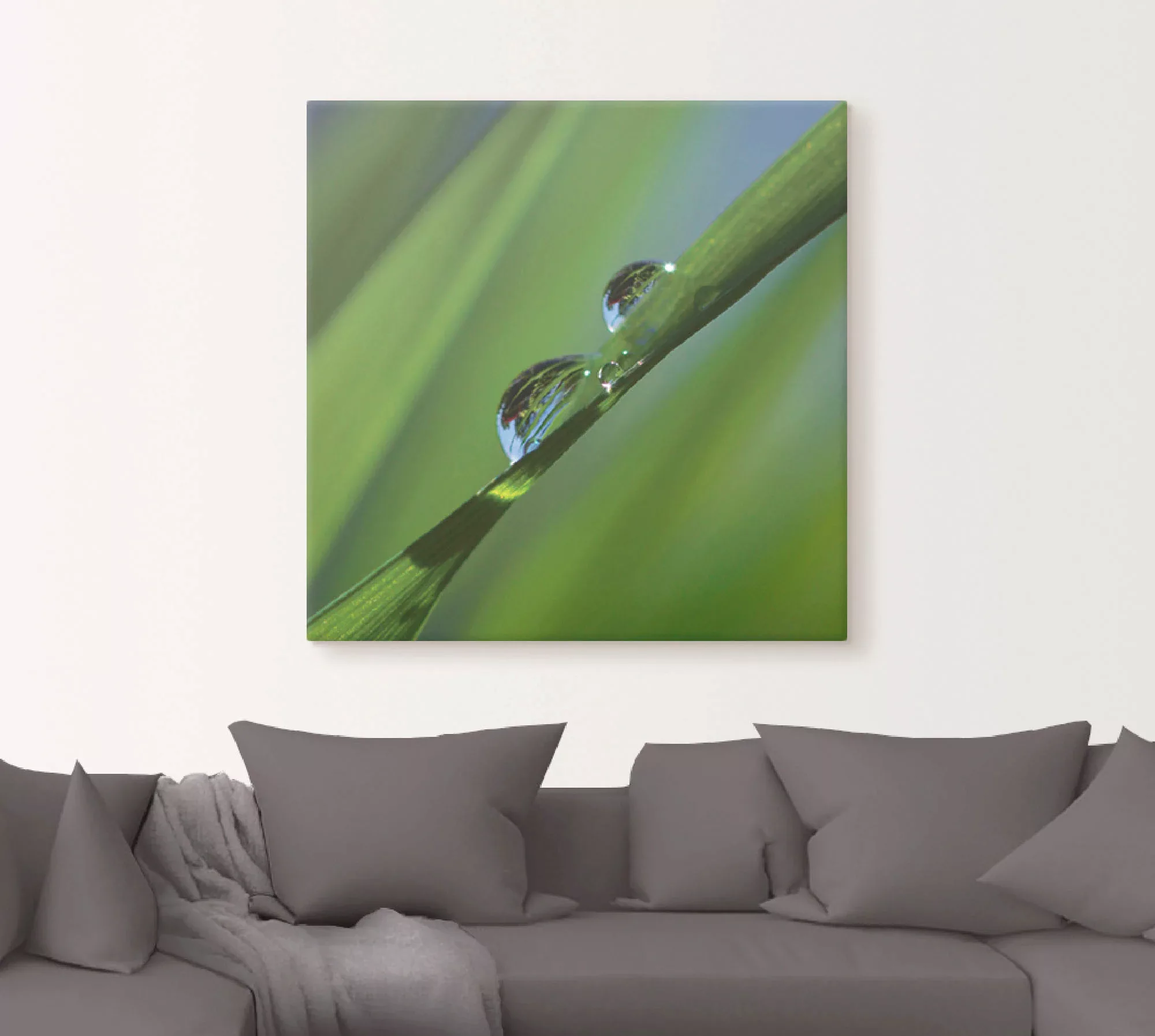 Artland Leinwandbild "Wassertropfen auf Grashalm", Gräser, (1 St.) günstig online kaufen