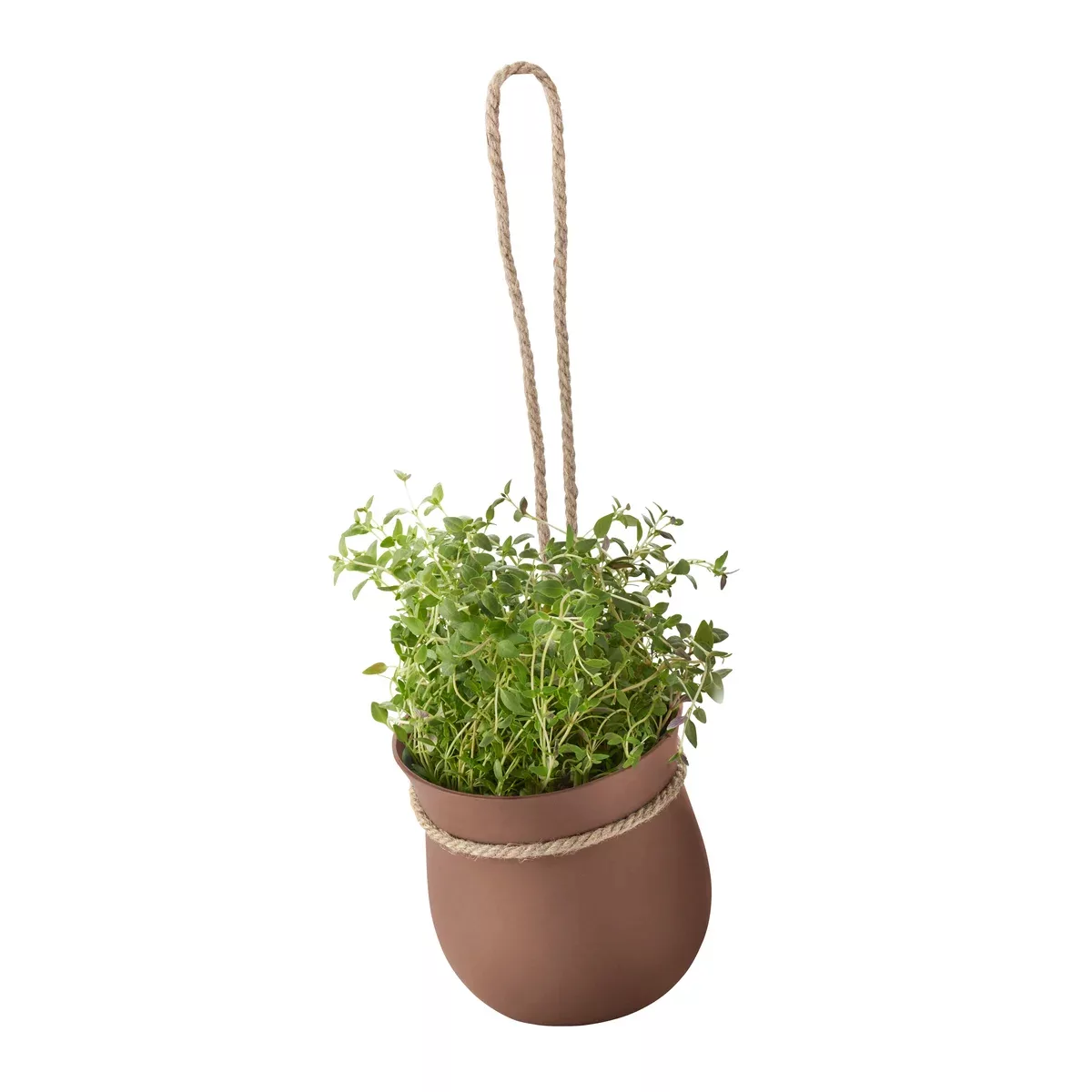 Grow-It Kräutertopf terracotta günstig online kaufen