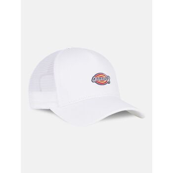 Dickies  Hut HANSTON TRUCKER DK0A4YV3-C581 CLOUD günstig online kaufen