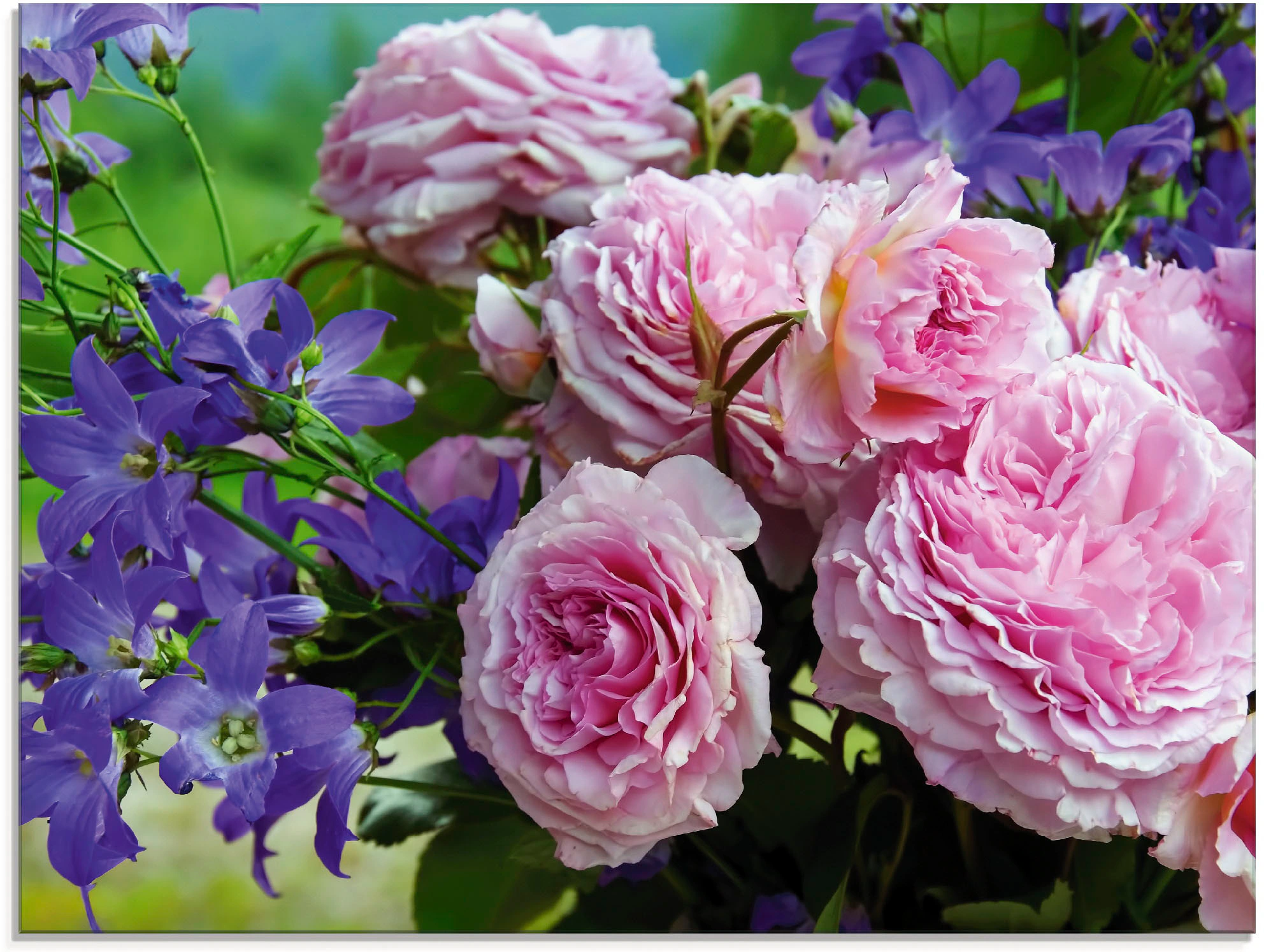 Artland Glasbild »Rosen und Glockenblumen«, Blumen, (1 St.), in verschieden günstig online kaufen