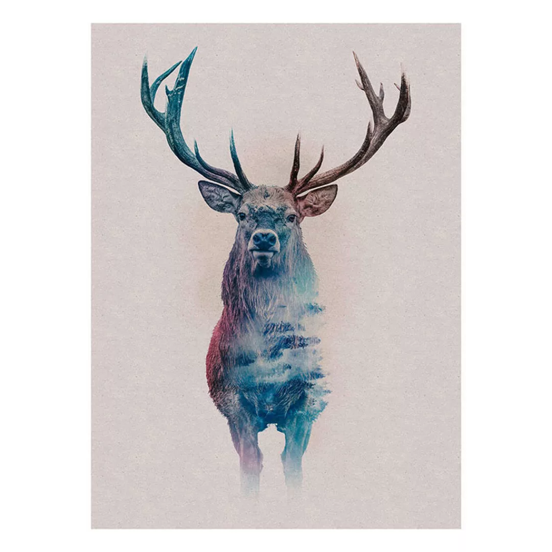 Komar Wandbild Animals Forest Deer Hirschkopf B/L: ca. 30x40 cm günstig online kaufen