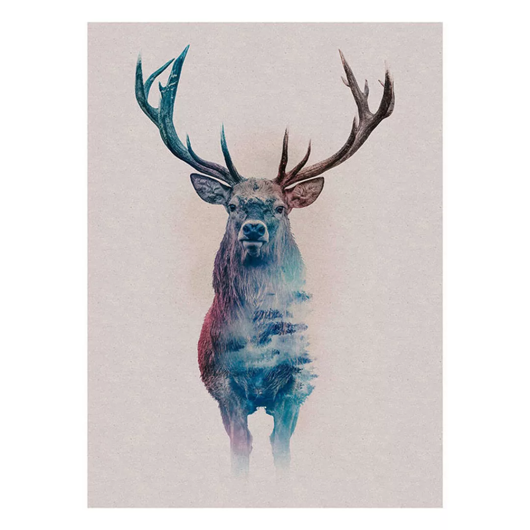 Komar Poster Animals Forest Deer Hirschkopf B/L: ca. 30x40 cm günstig online kaufen