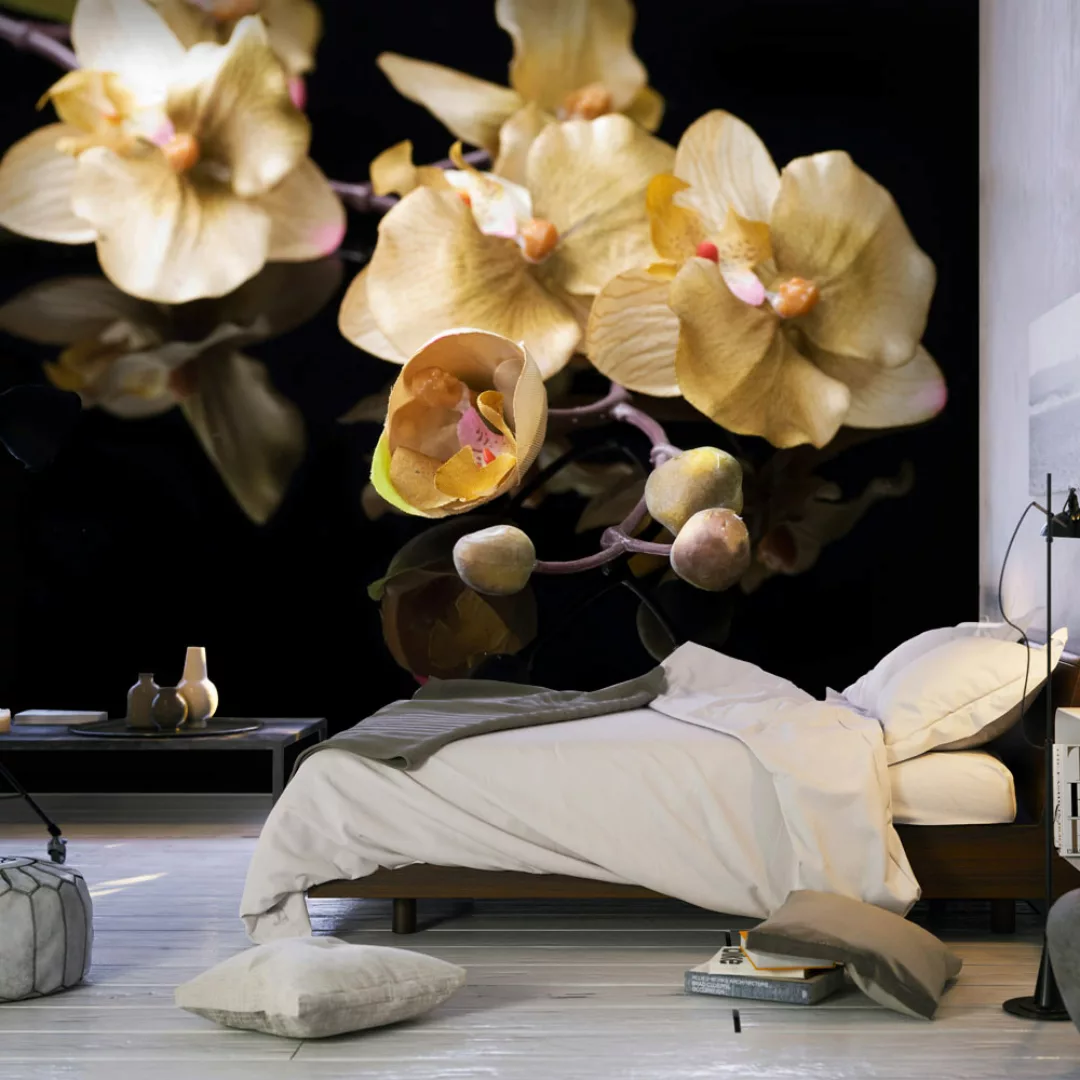 Fototapete - Orchids In Ecru Color günstig online kaufen