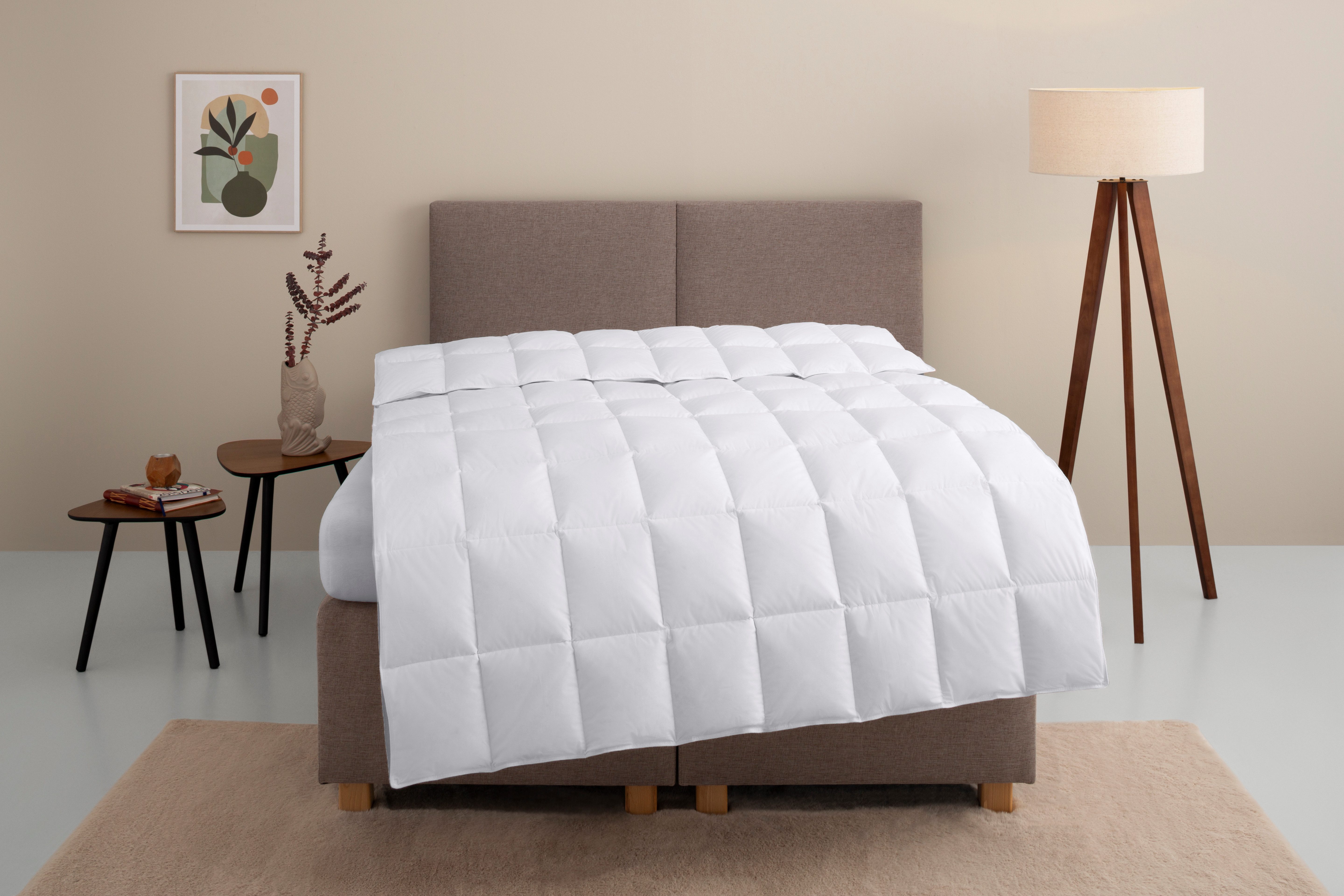 Home affaire Daunenbettdecke »Marseilles Bettdecke 135x200 cm und 155x220 c günstig online kaufen