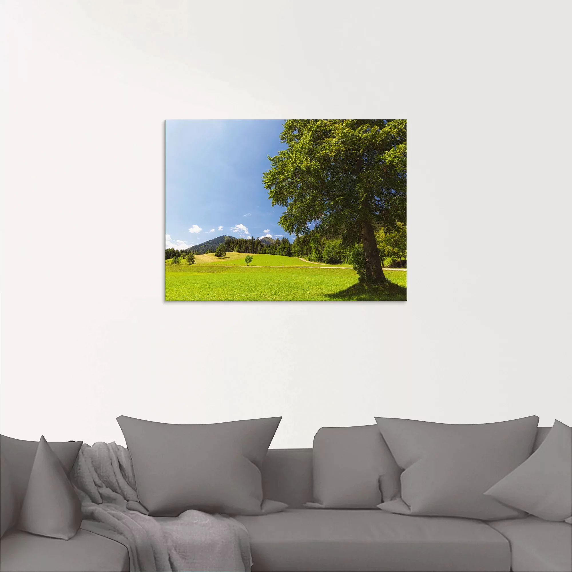 Artland Glasbild »Bayrische Landschaft«, Wiesen & Bäume, (1 St.), in versch günstig online kaufen
