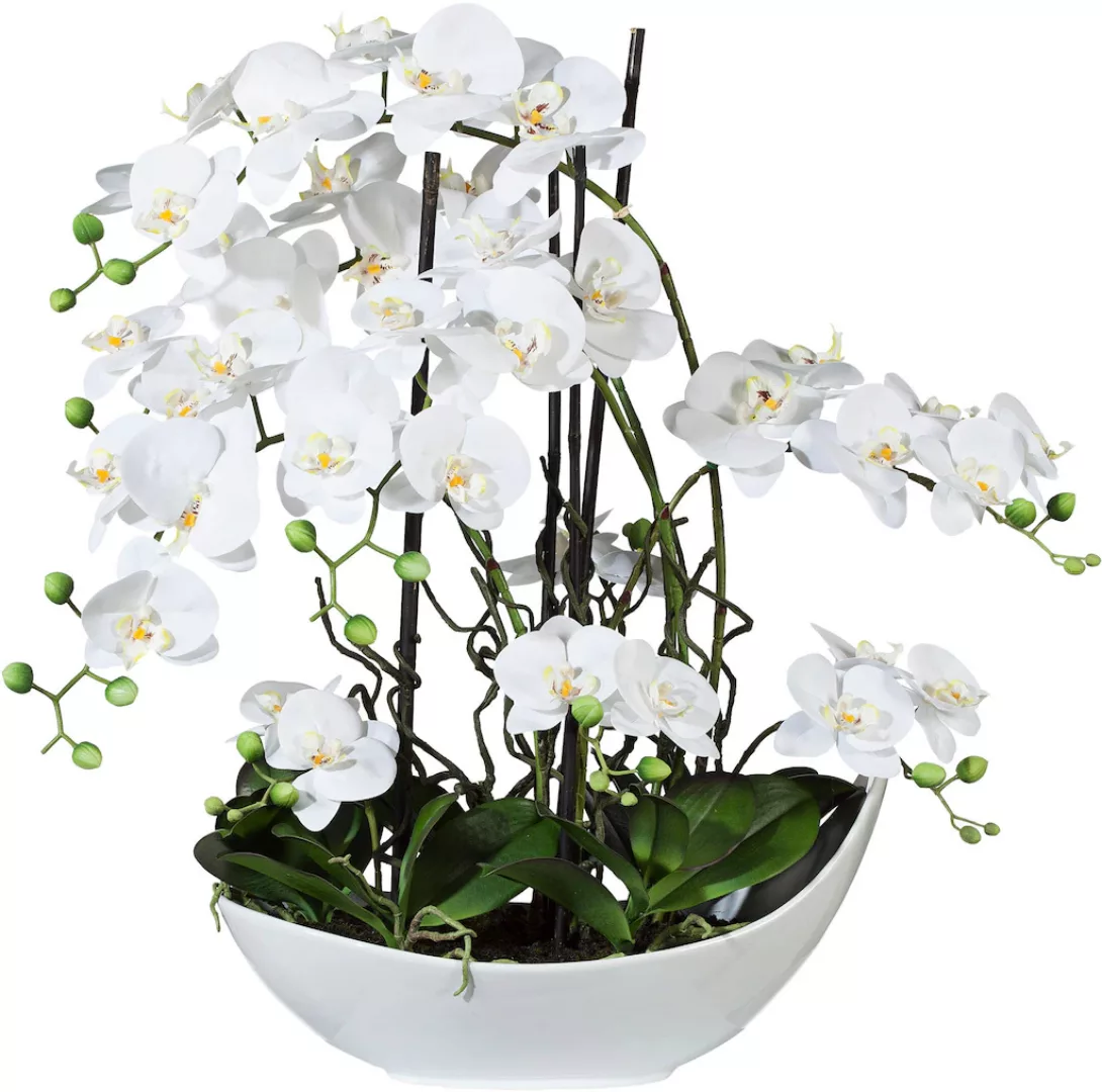 Creativ green Kunstorchidee "Phalaenopsisarrangement, 68cm weiss" günstig online kaufen