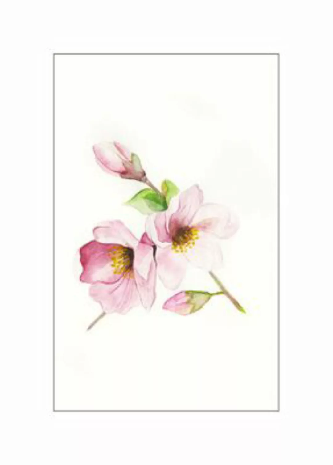 KOMAR Wandbild - Magnolia Breathe - Größe: 50 x 70 cm mehrfarbig Gr. one si günstig online kaufen