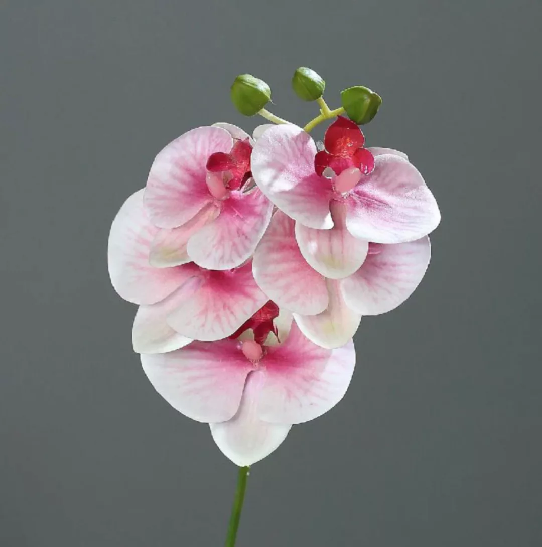 Kunstblume Orchidee-Phalaenopsis pink-cream 37 cm günstig online kaufen