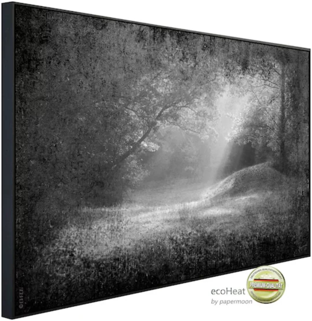 Papermoon Infrarotheizung »Wald Schwarz & Weiß«, sehr angenehme Strahlungsw günstig online kaufen