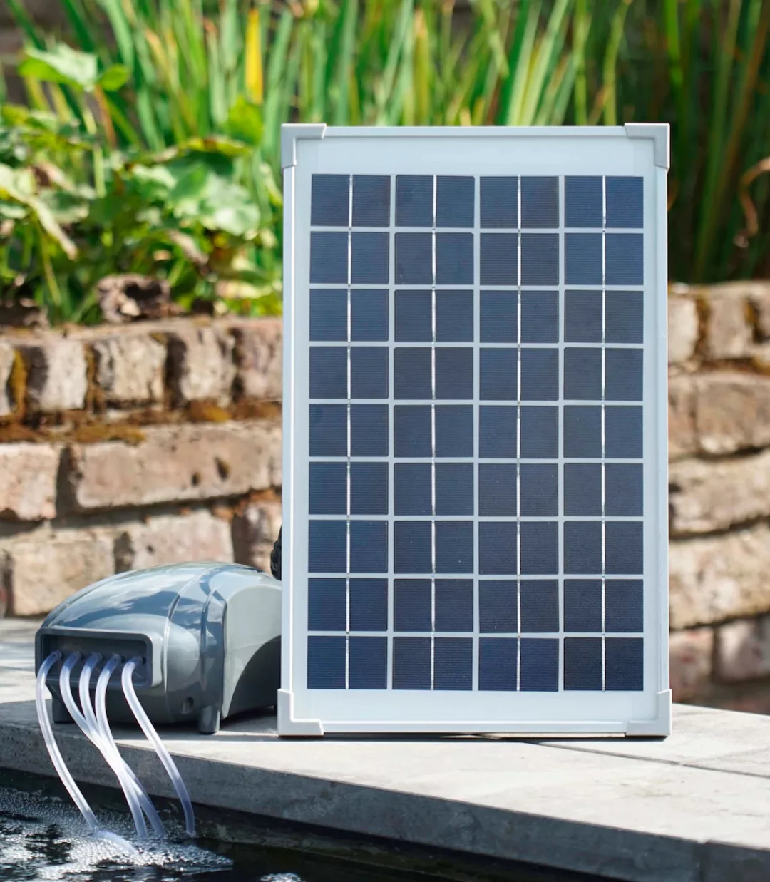 Ubbink Solar-teichbelüfter Air Solar 600 1351375 günstig online kaufen