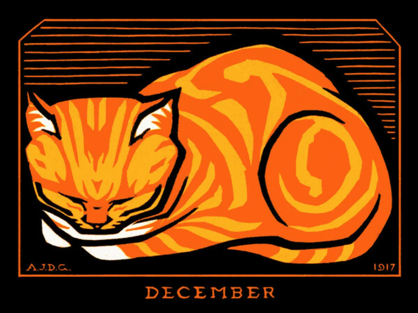 Poster / Leinwandbild - December Cat günstig online kaufen