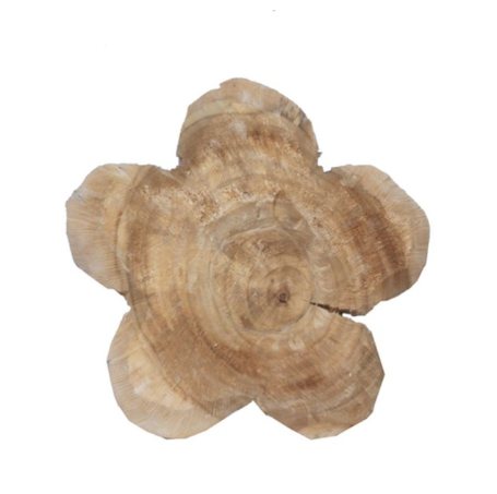 Holzblume Pappel natur Höhe 30 cm günstig online kaufen