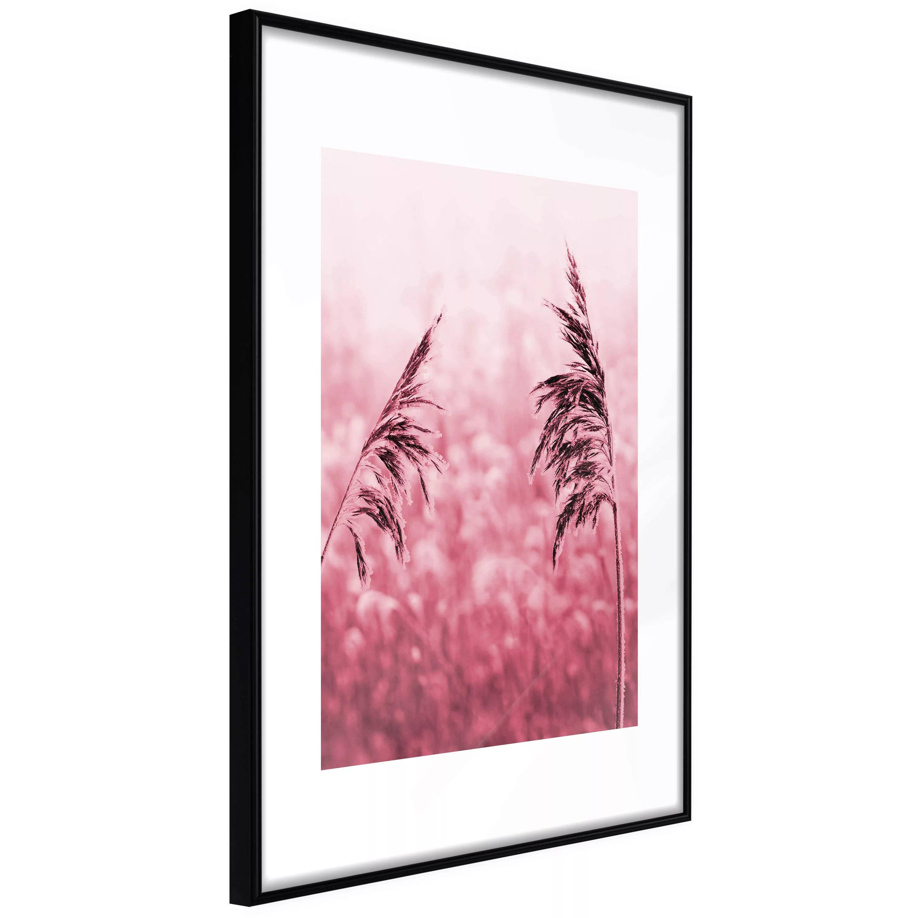 Poster - Amaranth Meadow günstig online kaufen