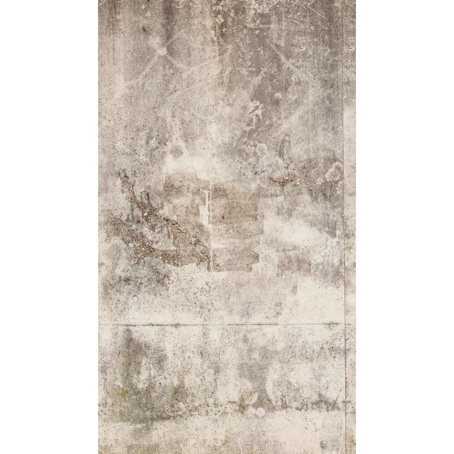 A.S. Création Fototapete Vlies Betonwand Vintage 159 cm x 280 cm Beige-Weiß günstig online kaufen