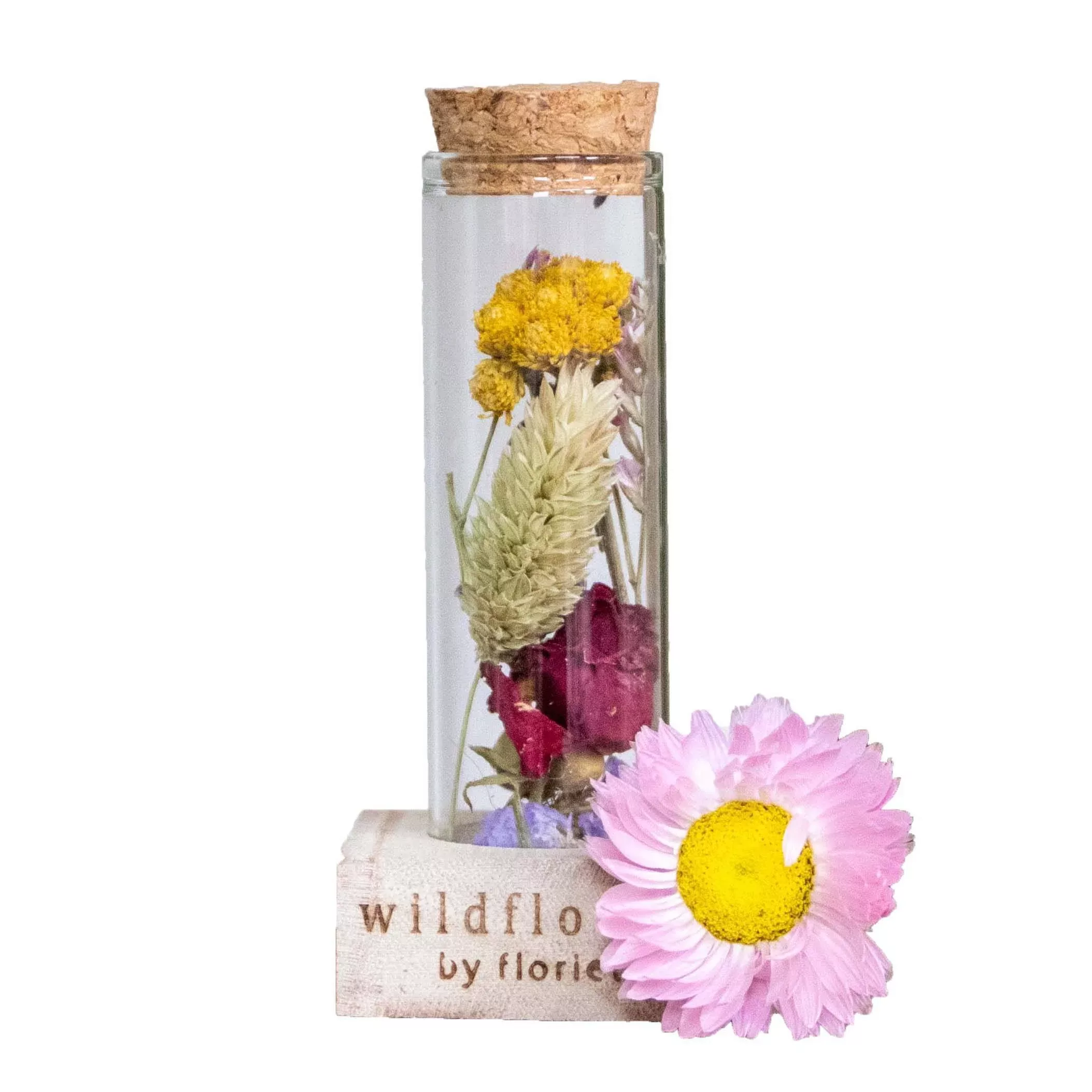 Casa Caron | Trockenblumenset Diana in Vase günstig online kaufen
