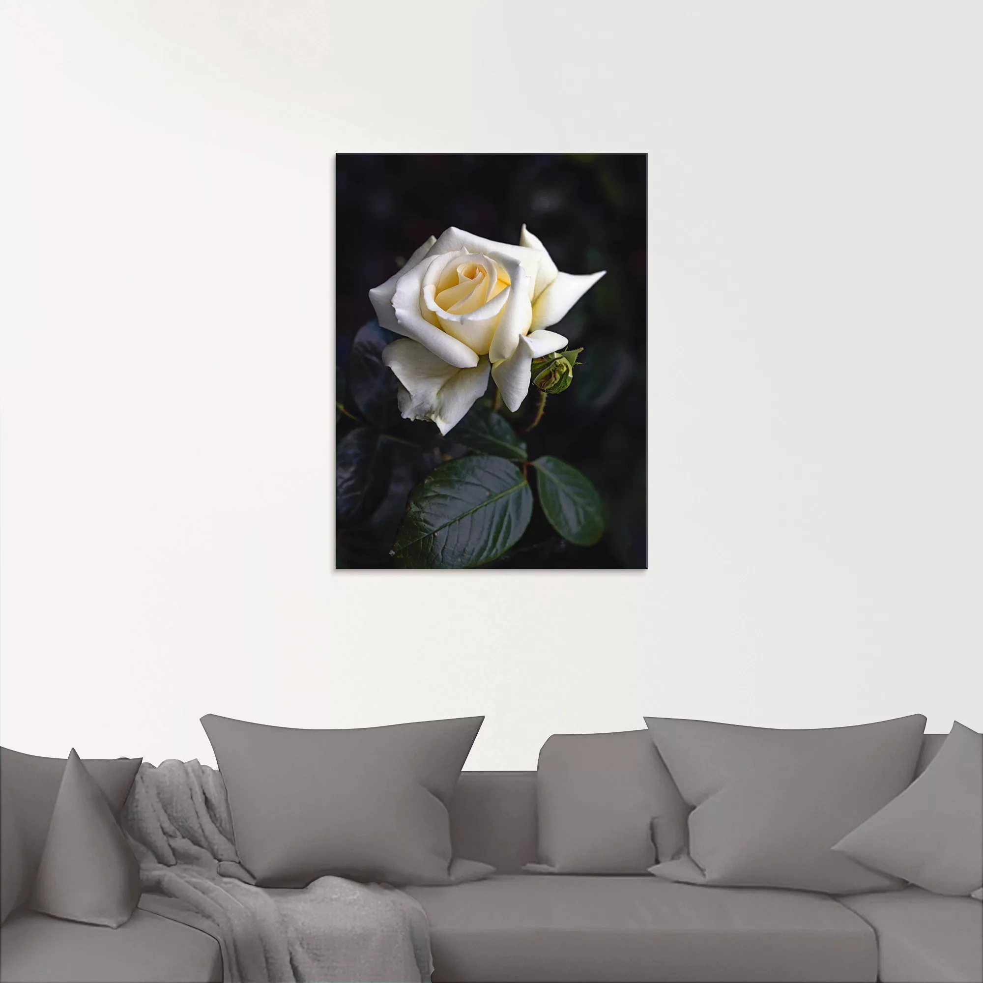 Artland Glasbild »Weiß-gelbe Rose«, Blumen, (1 St.) günstig online kaufen