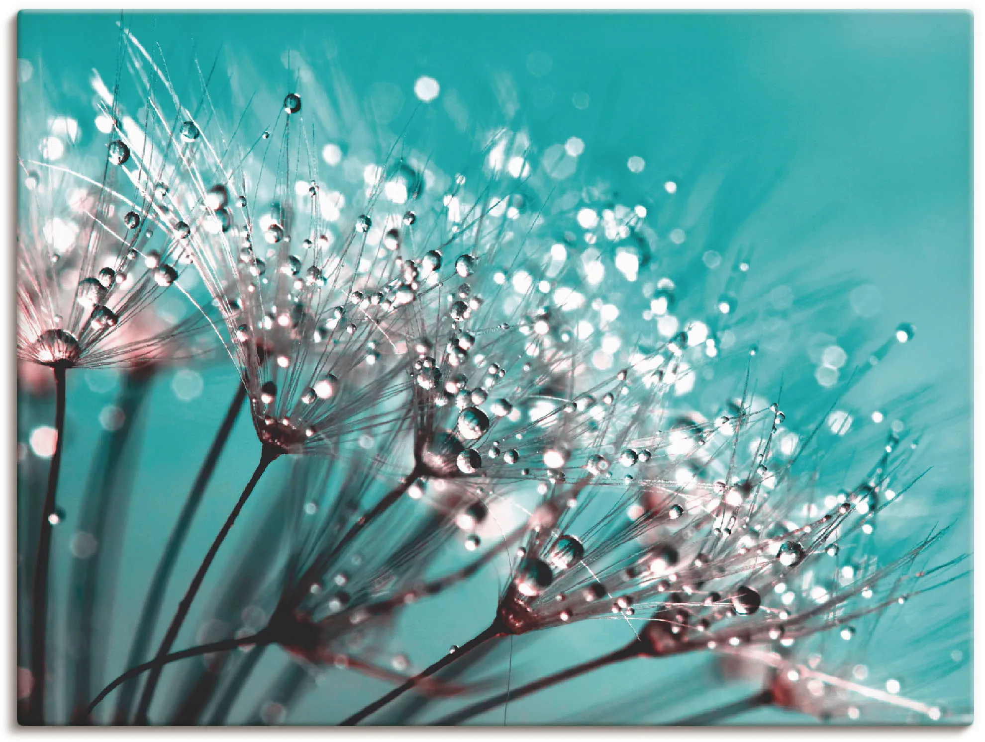Artland Wandbild "Glitzernde Pusteblume I", Blumen, (1 St.) günstig online kaufen