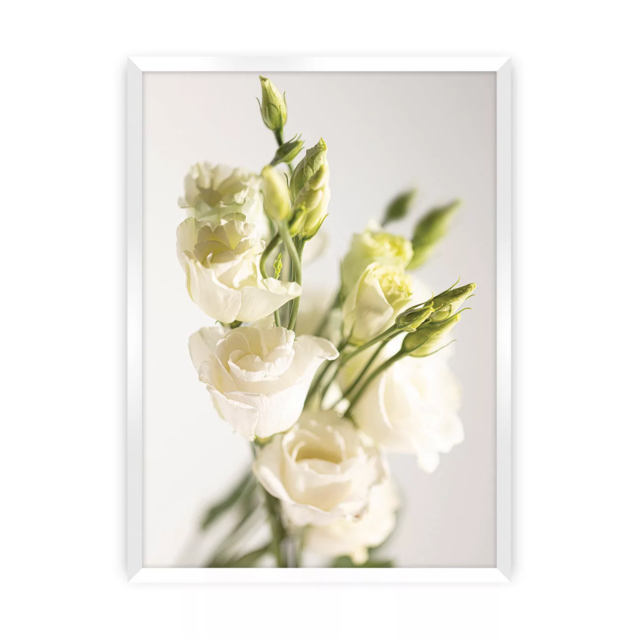 Poster Elegant Flowers, 40 x 50 cm, Rahmen wählen: weiss günstig online kaufen